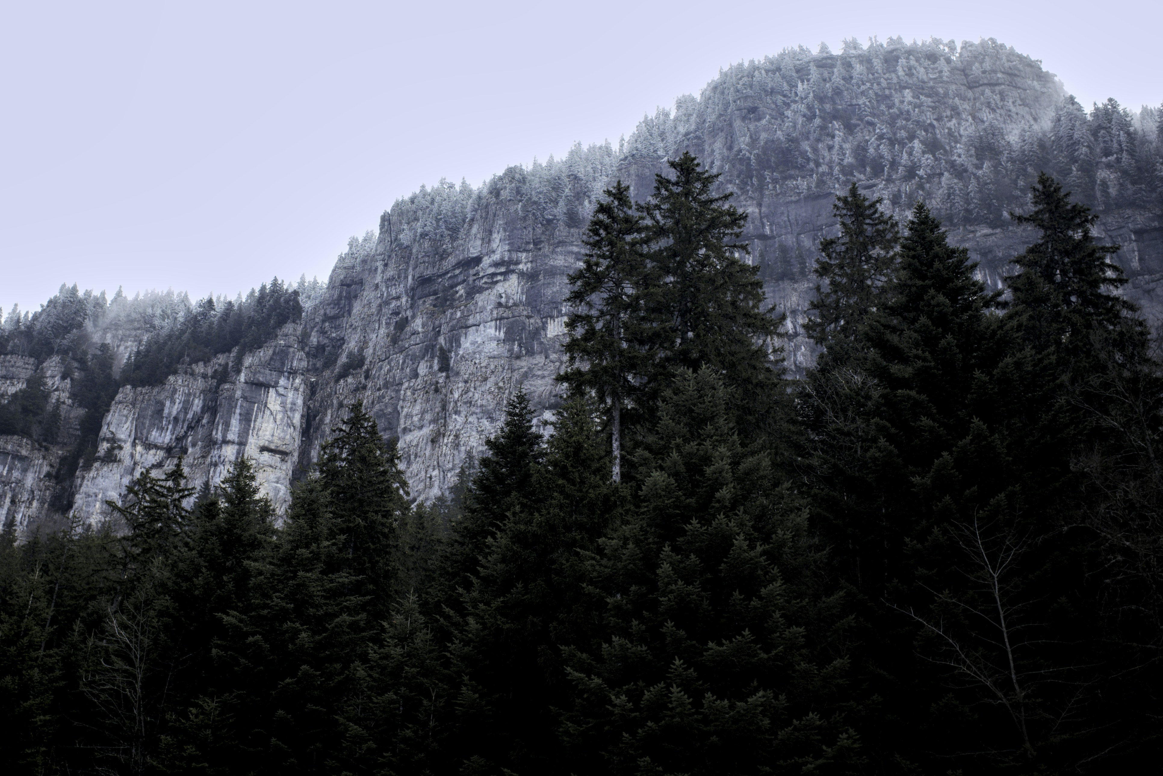 Photo by thomastygreat