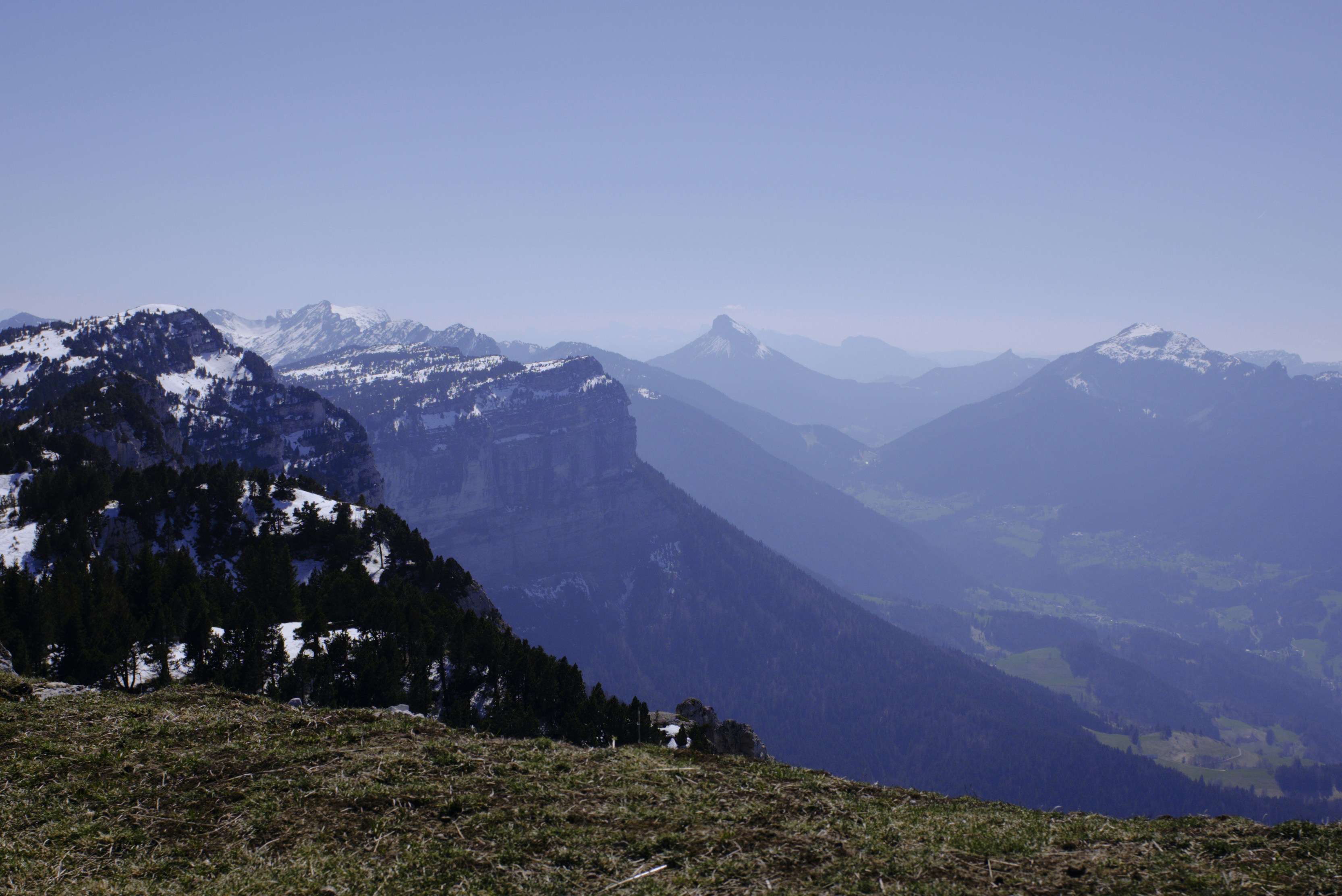 Photo by thomastygreat