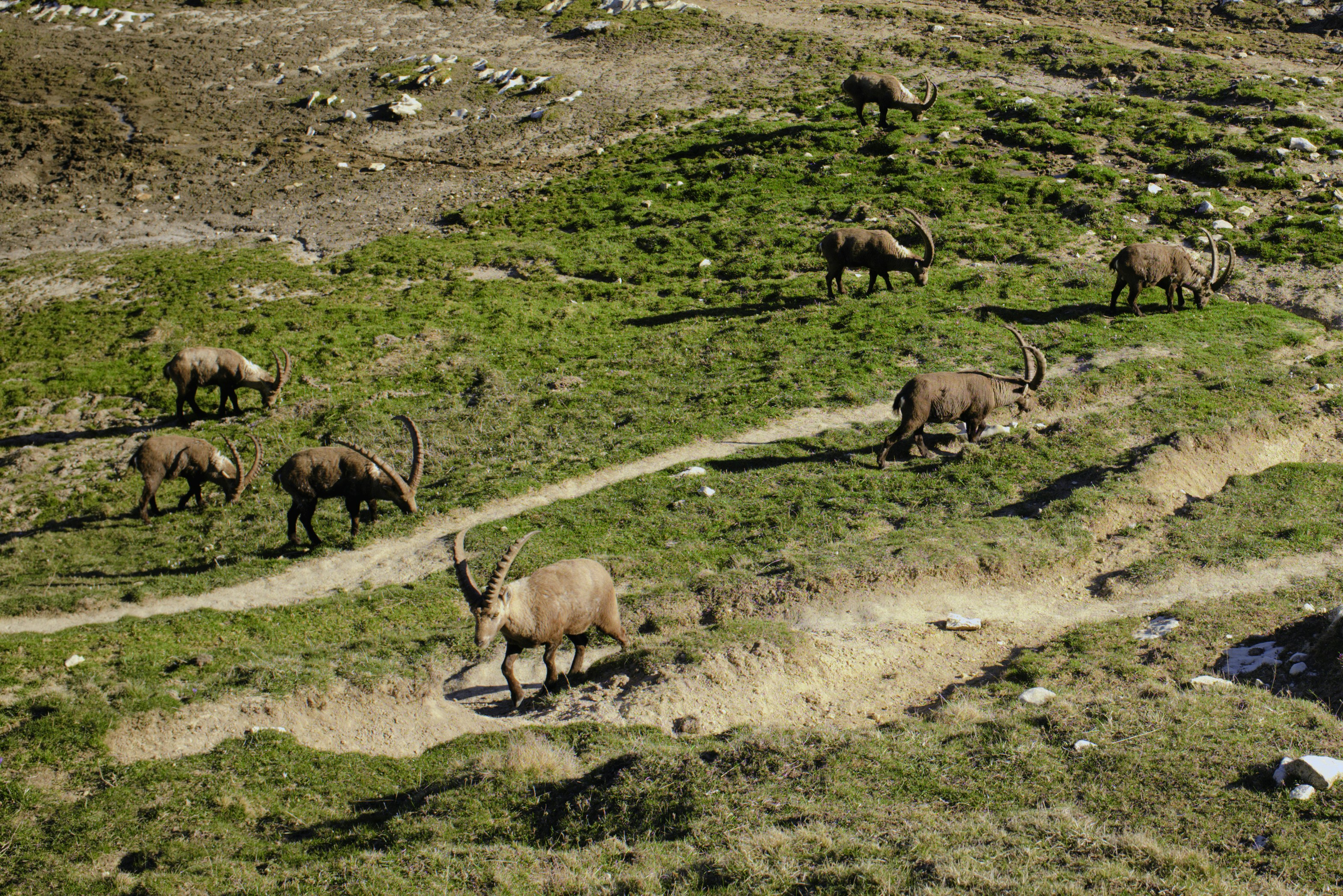 Photo by thomastygreat