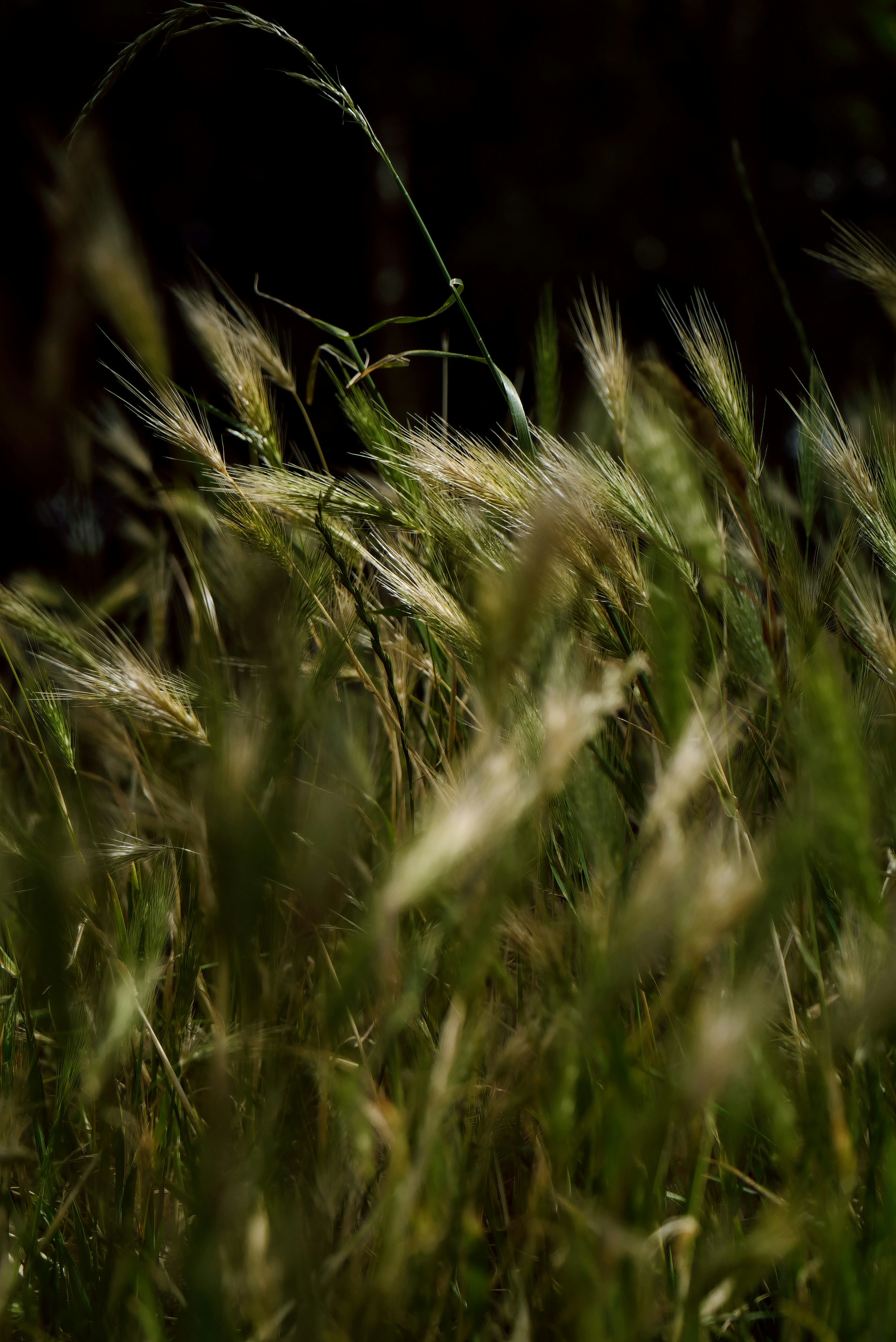 Photo by balmy_sunset