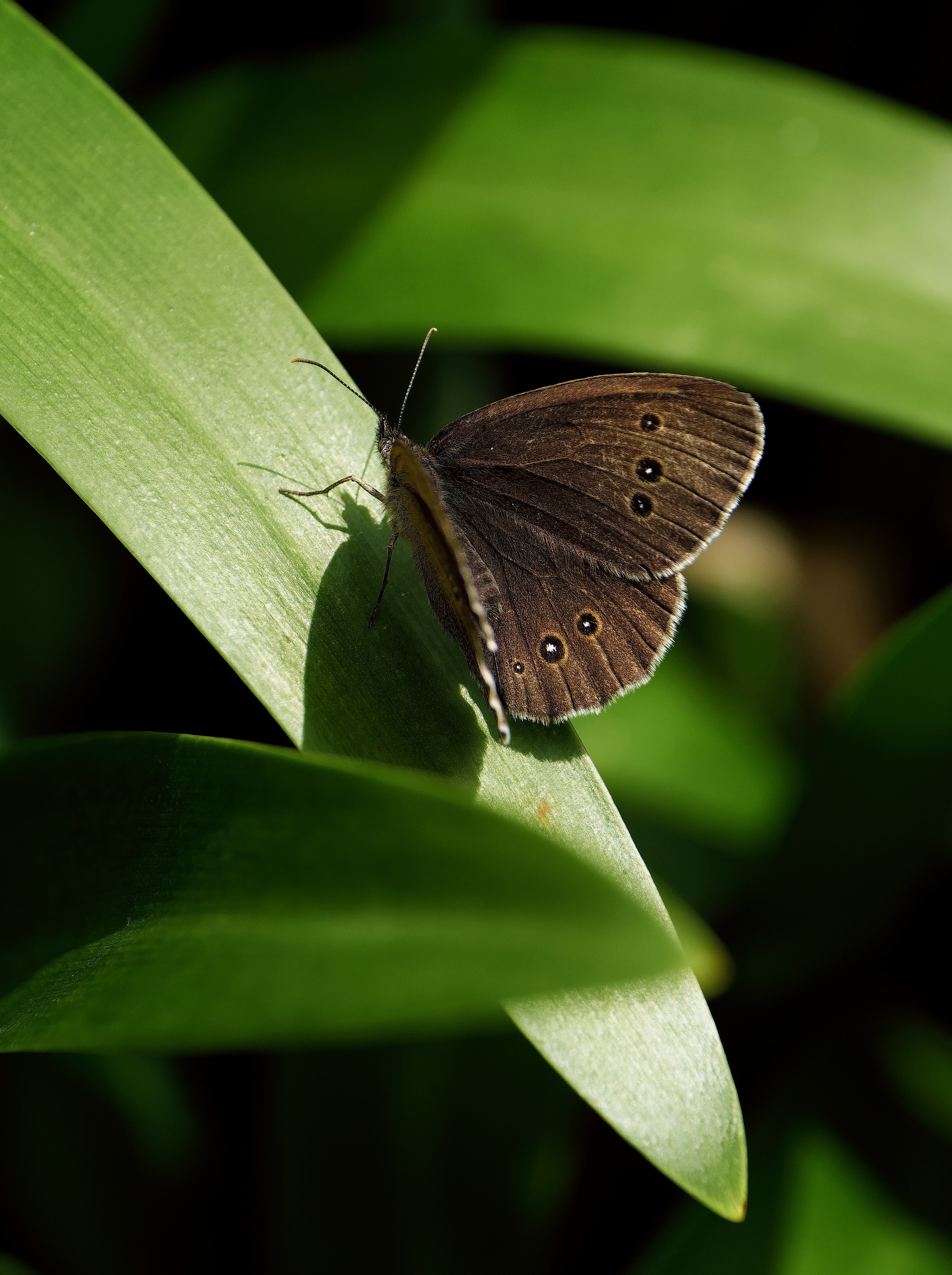 Photo by balmy_sunset