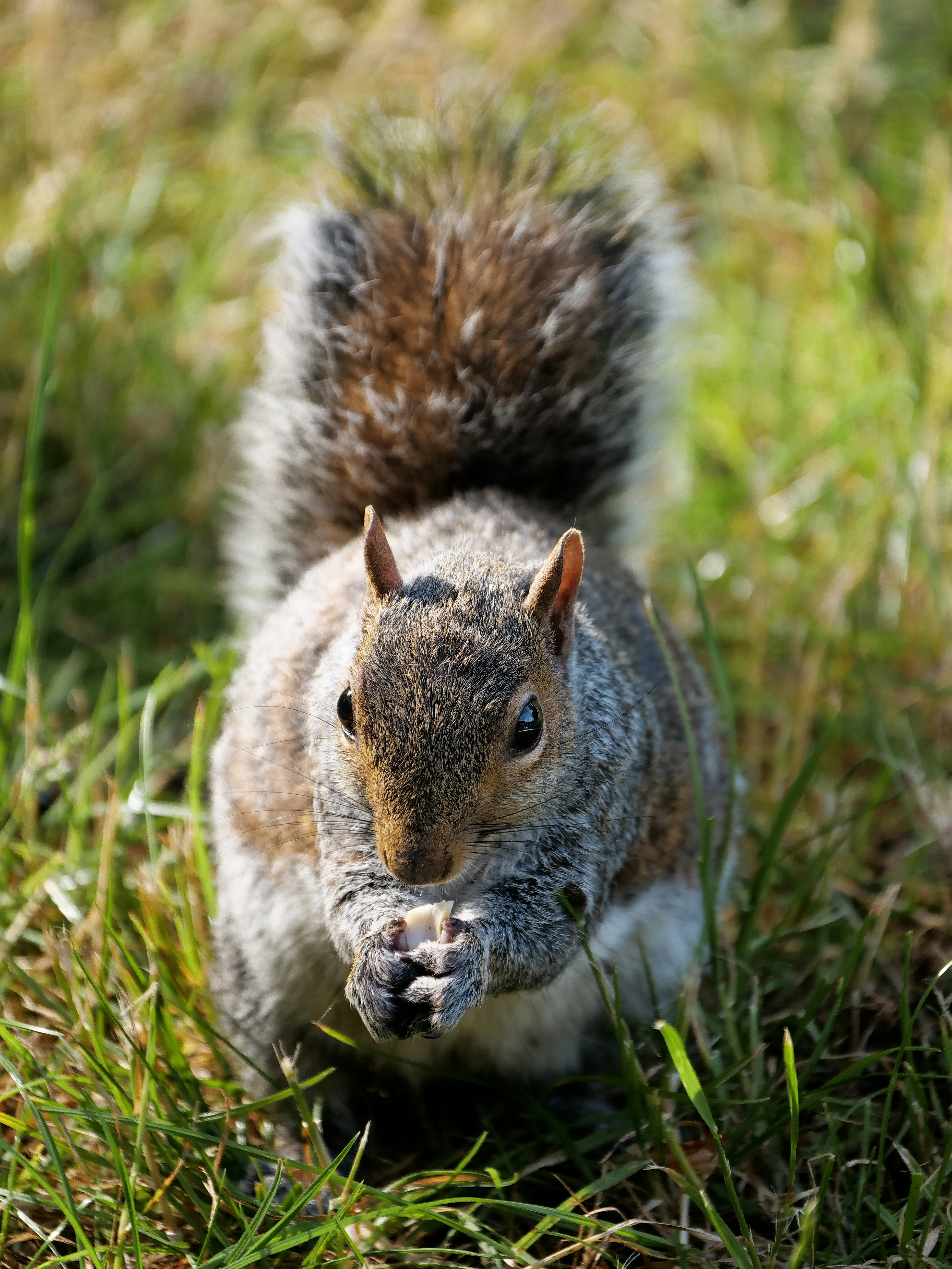 Photo by balmy_sunset