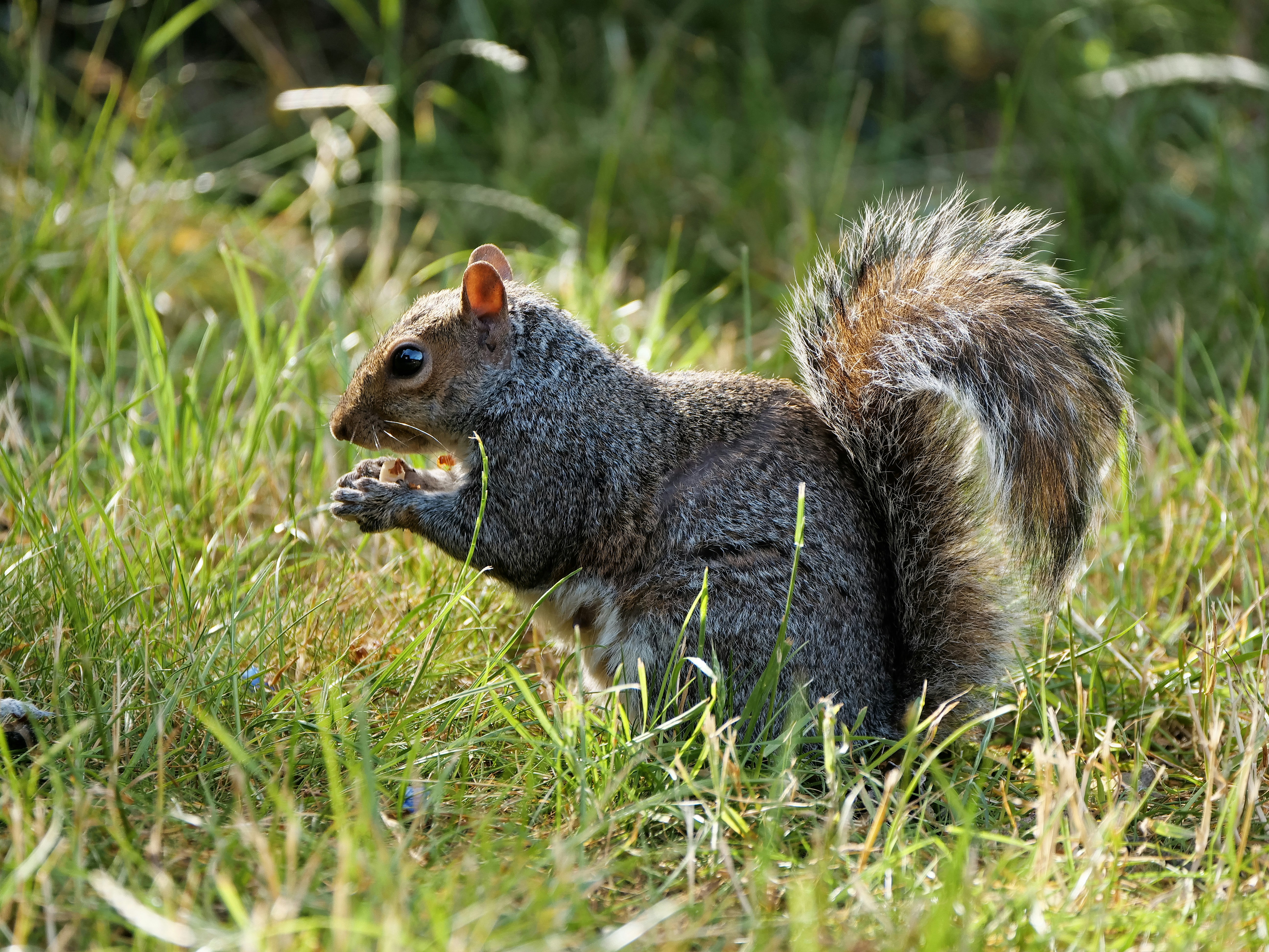 Photo by balmy_sunset