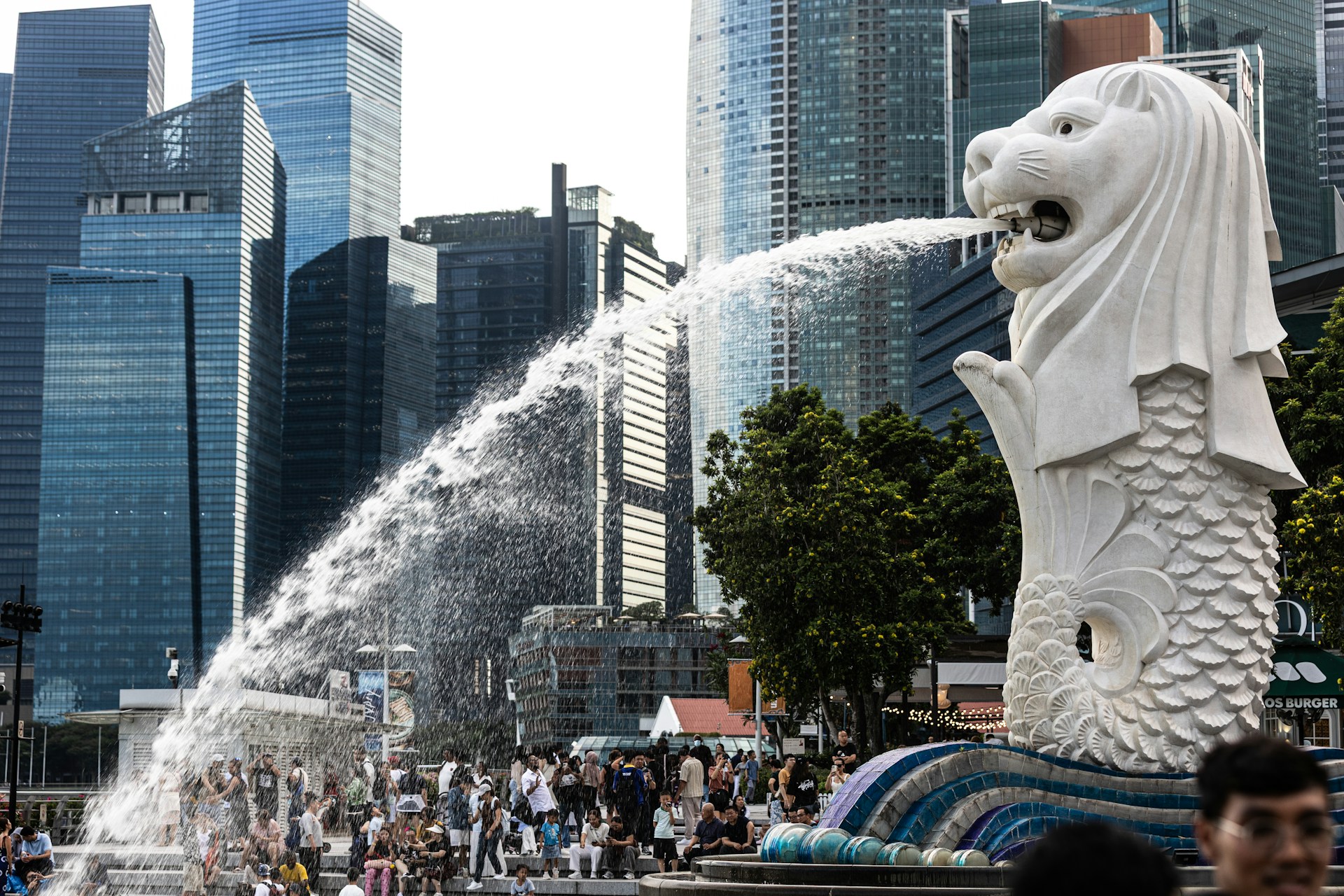 The merlion of singapore spouts water.