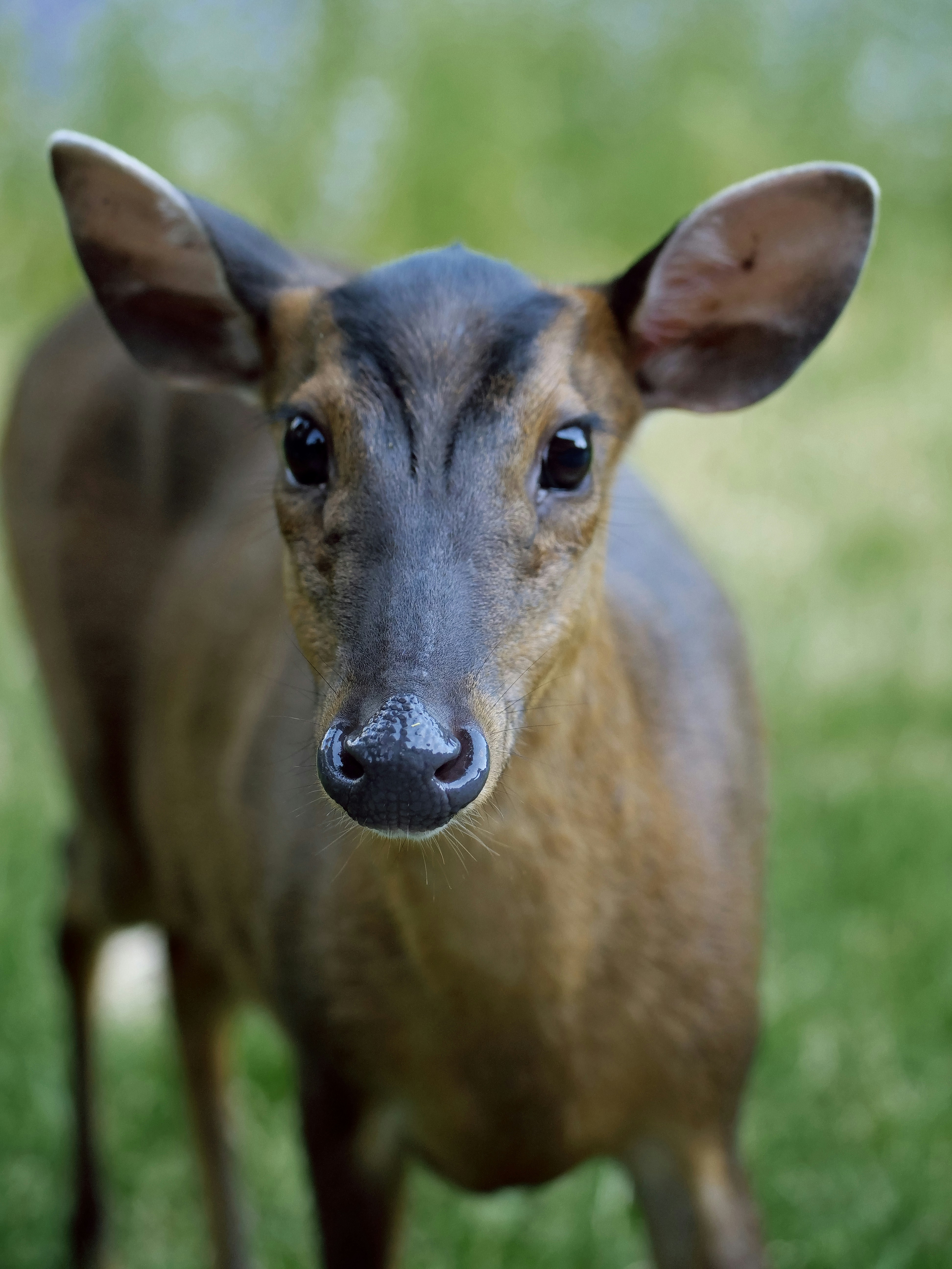 Photo by balmy_sunset