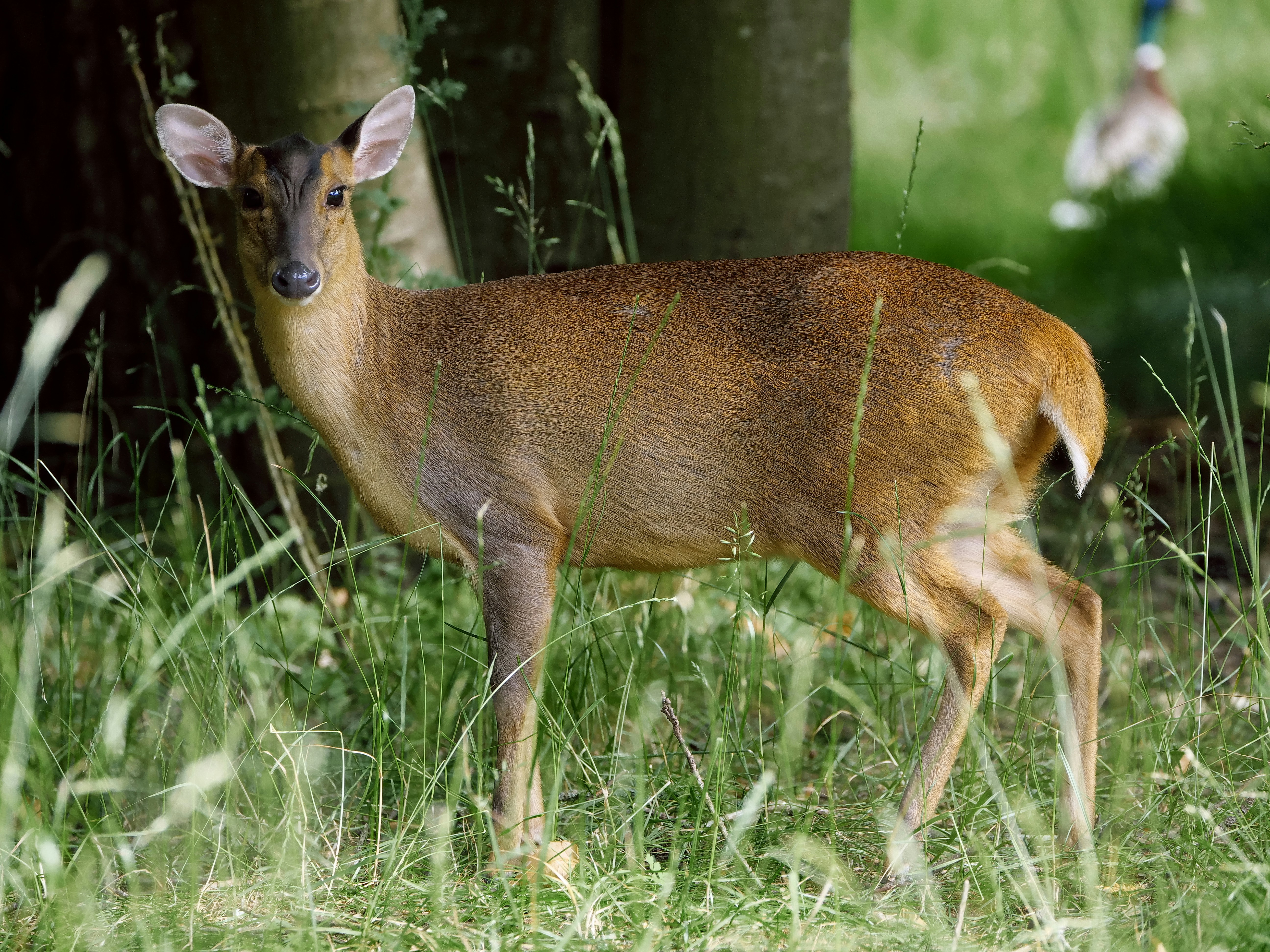 Photo by balmy_sunset