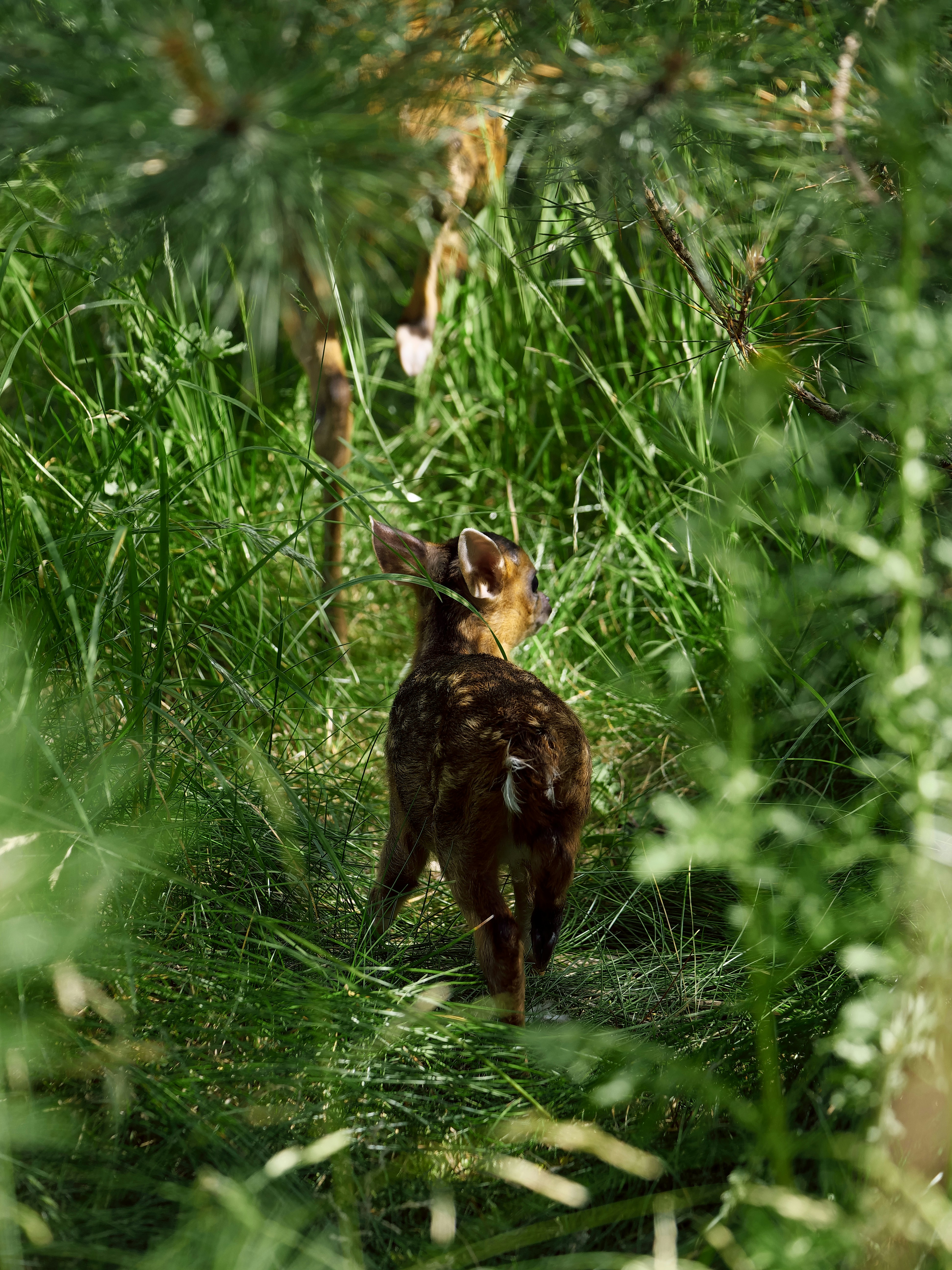 Photo by balmy_sunset