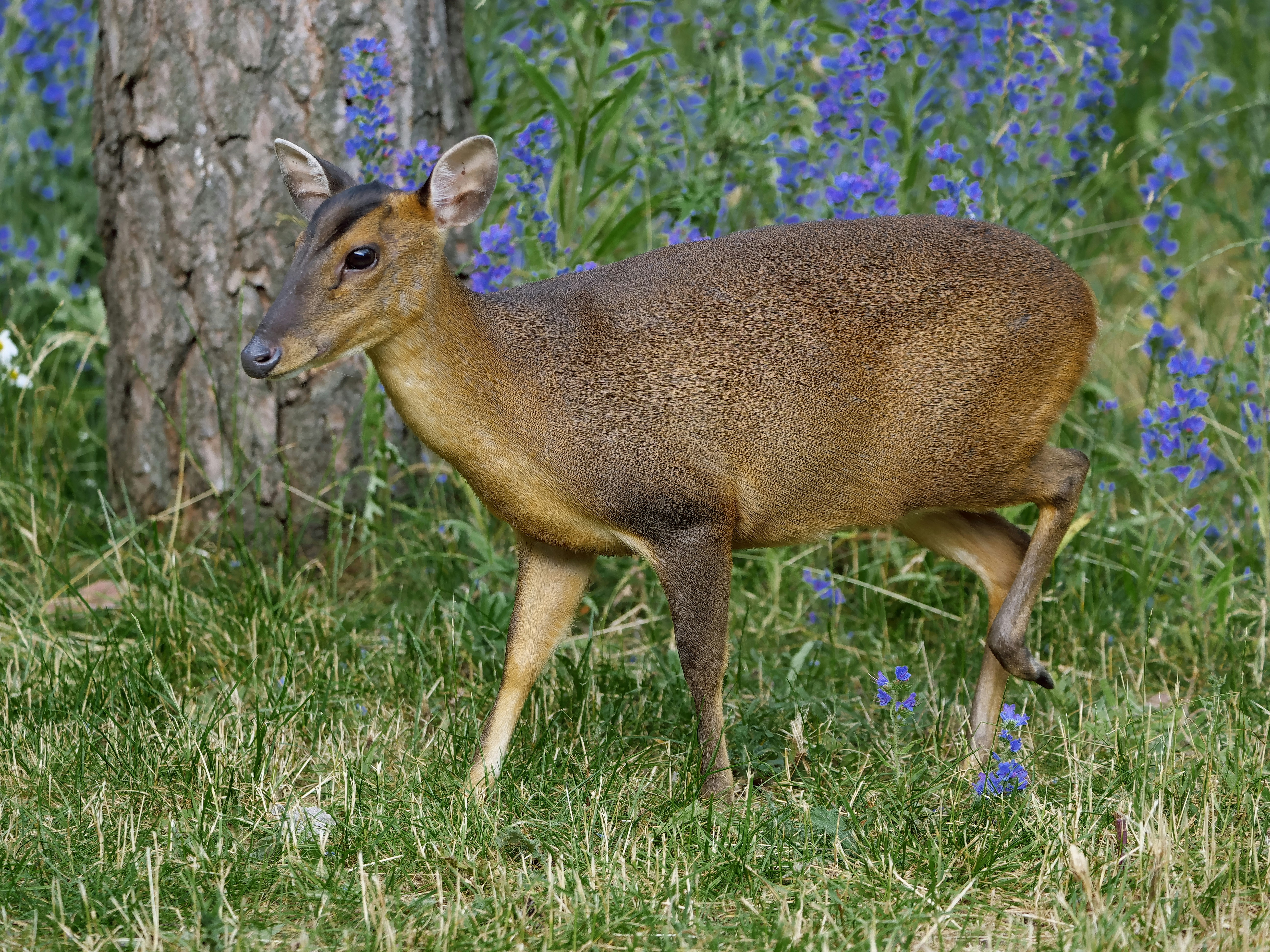 Photo by balmy_sunset