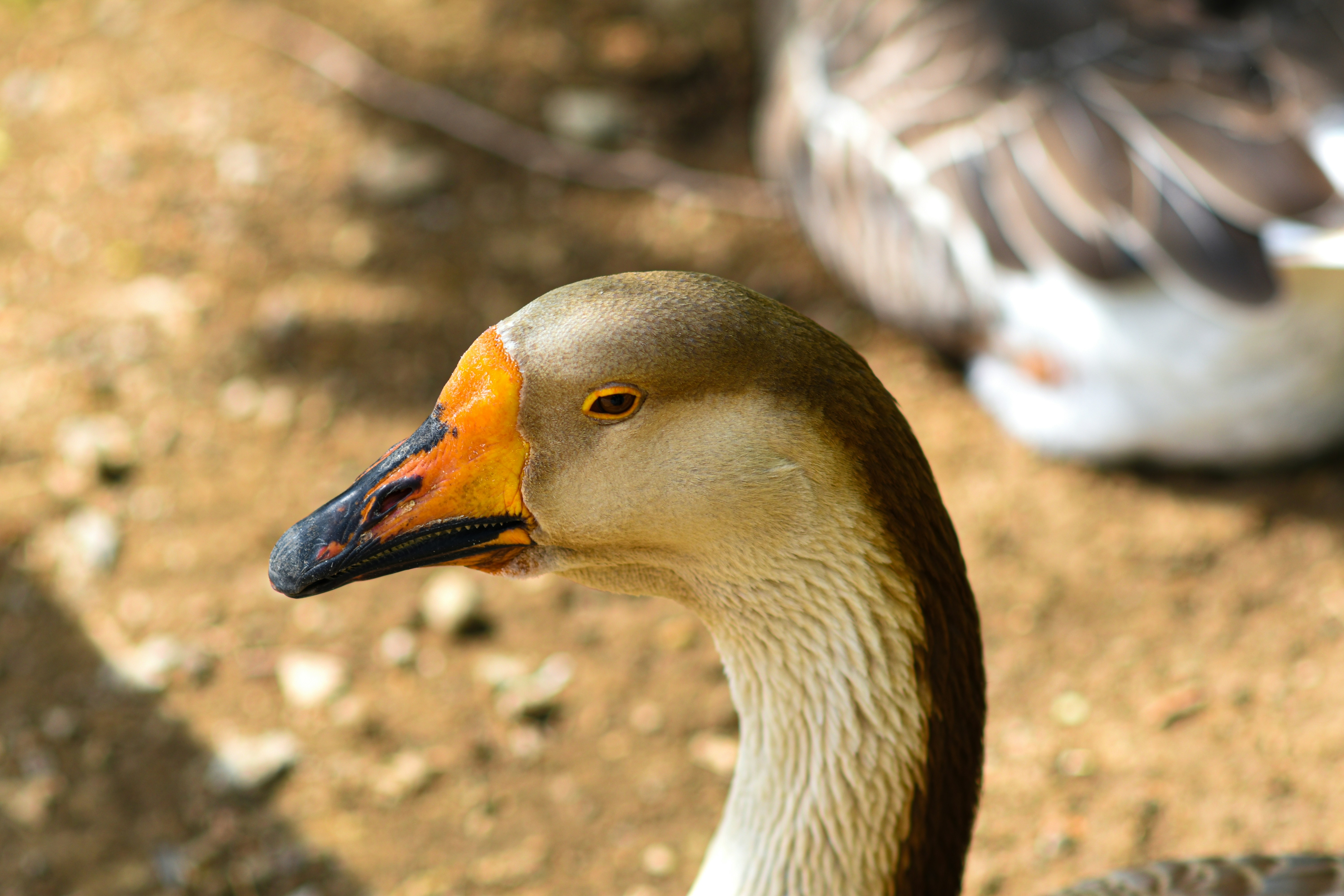 Photo by niloufar1996