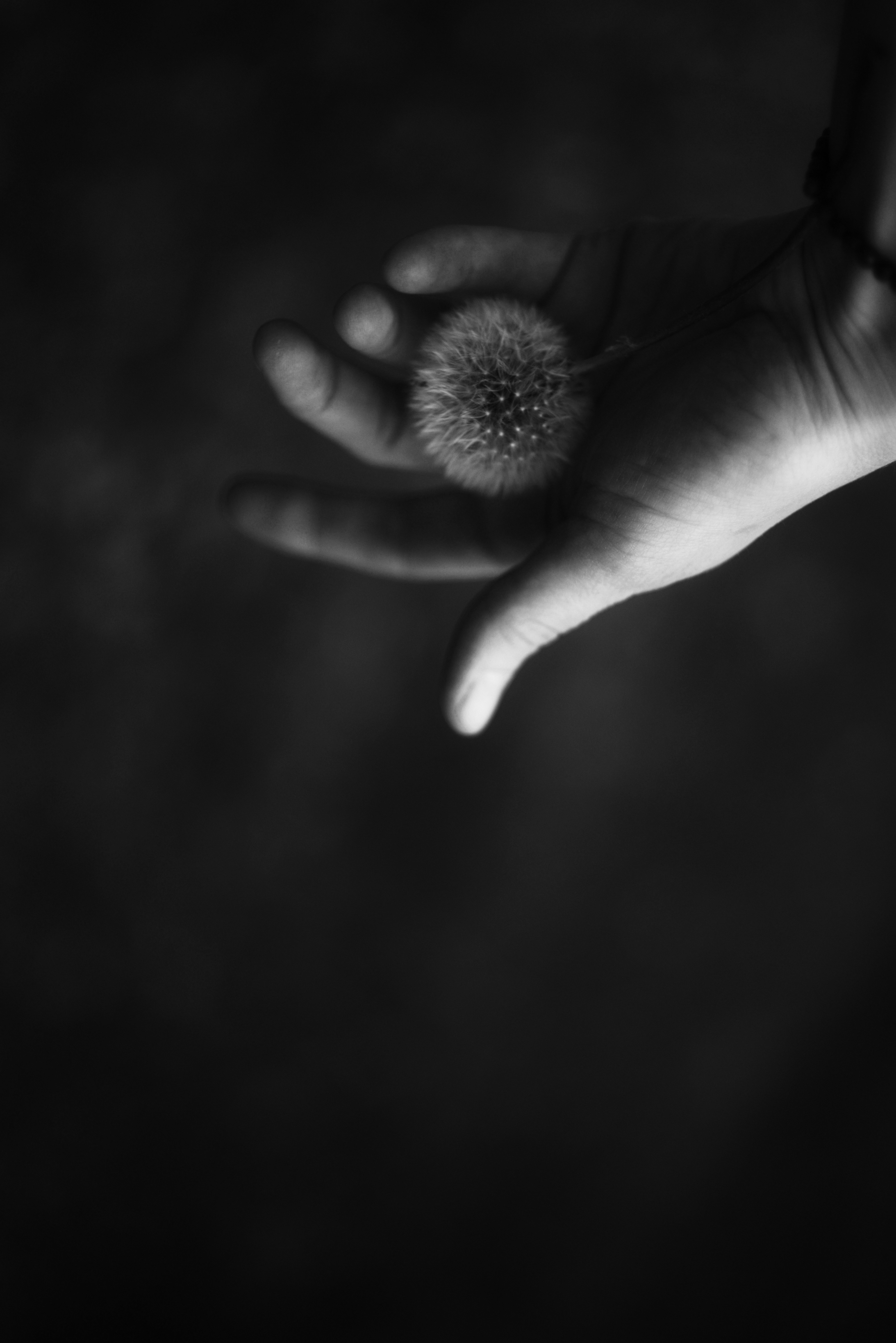 Photo by cherstve_pechivo