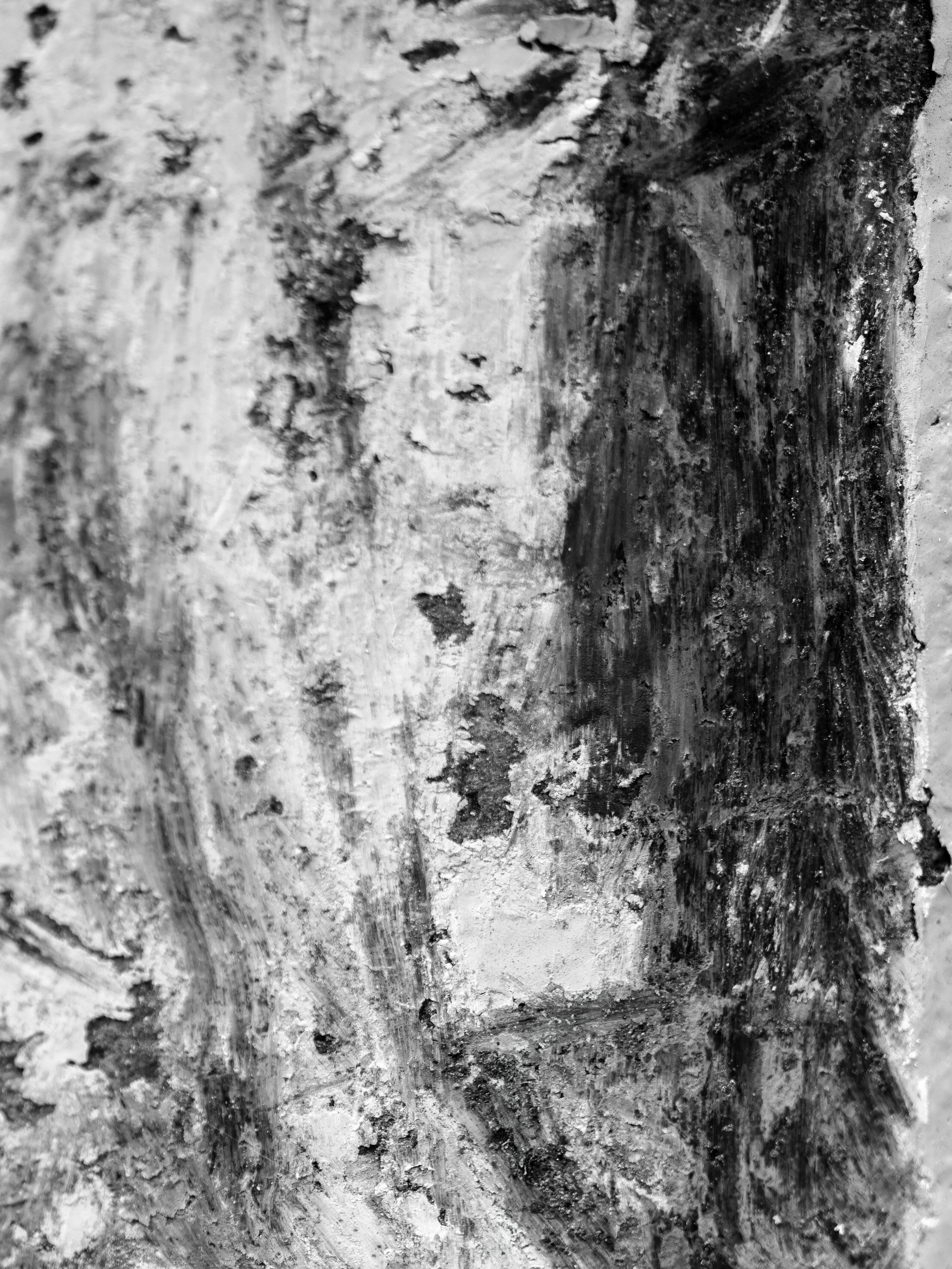 Photo by haberdoedas