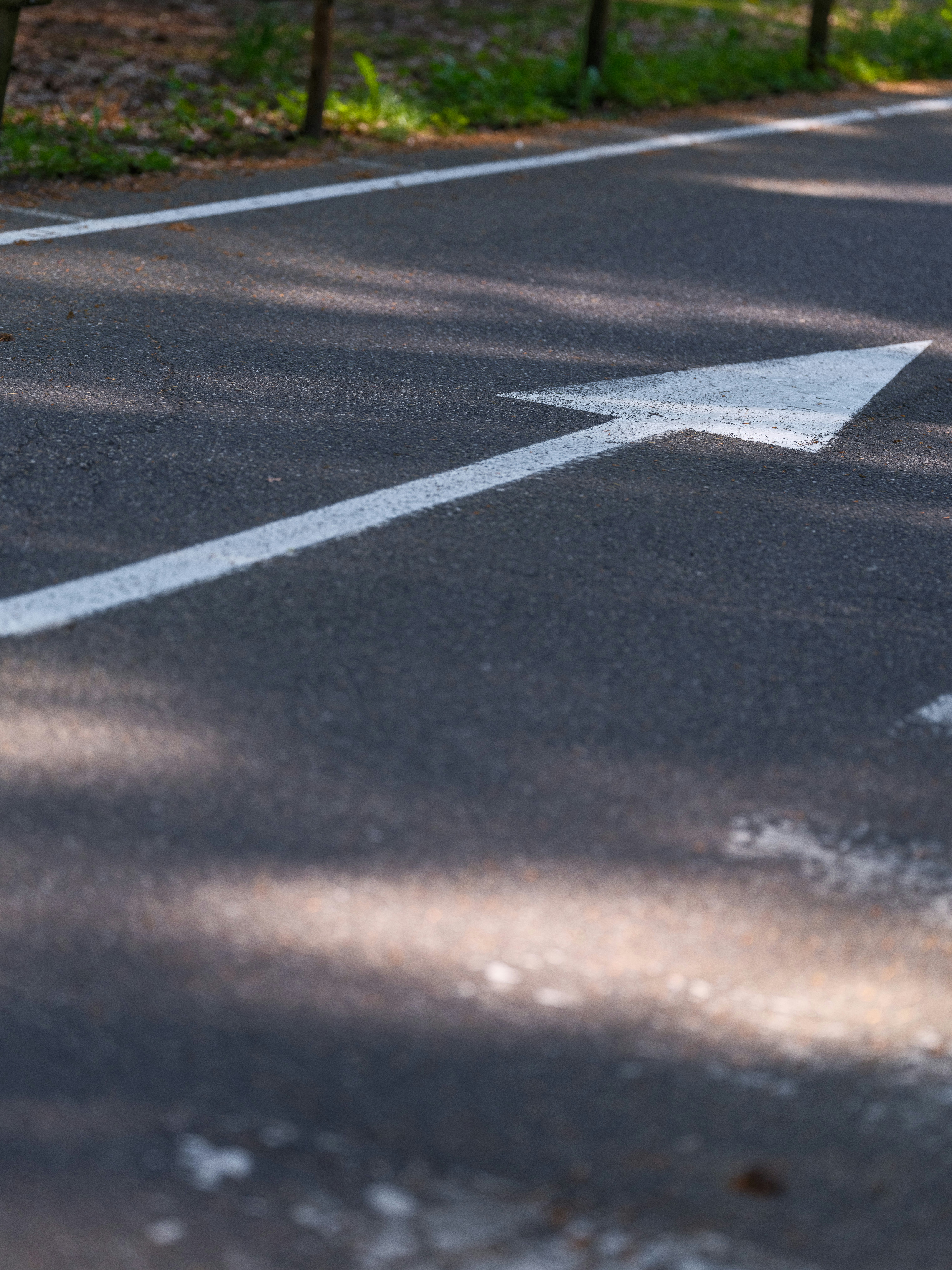 Photo by haberdoedas