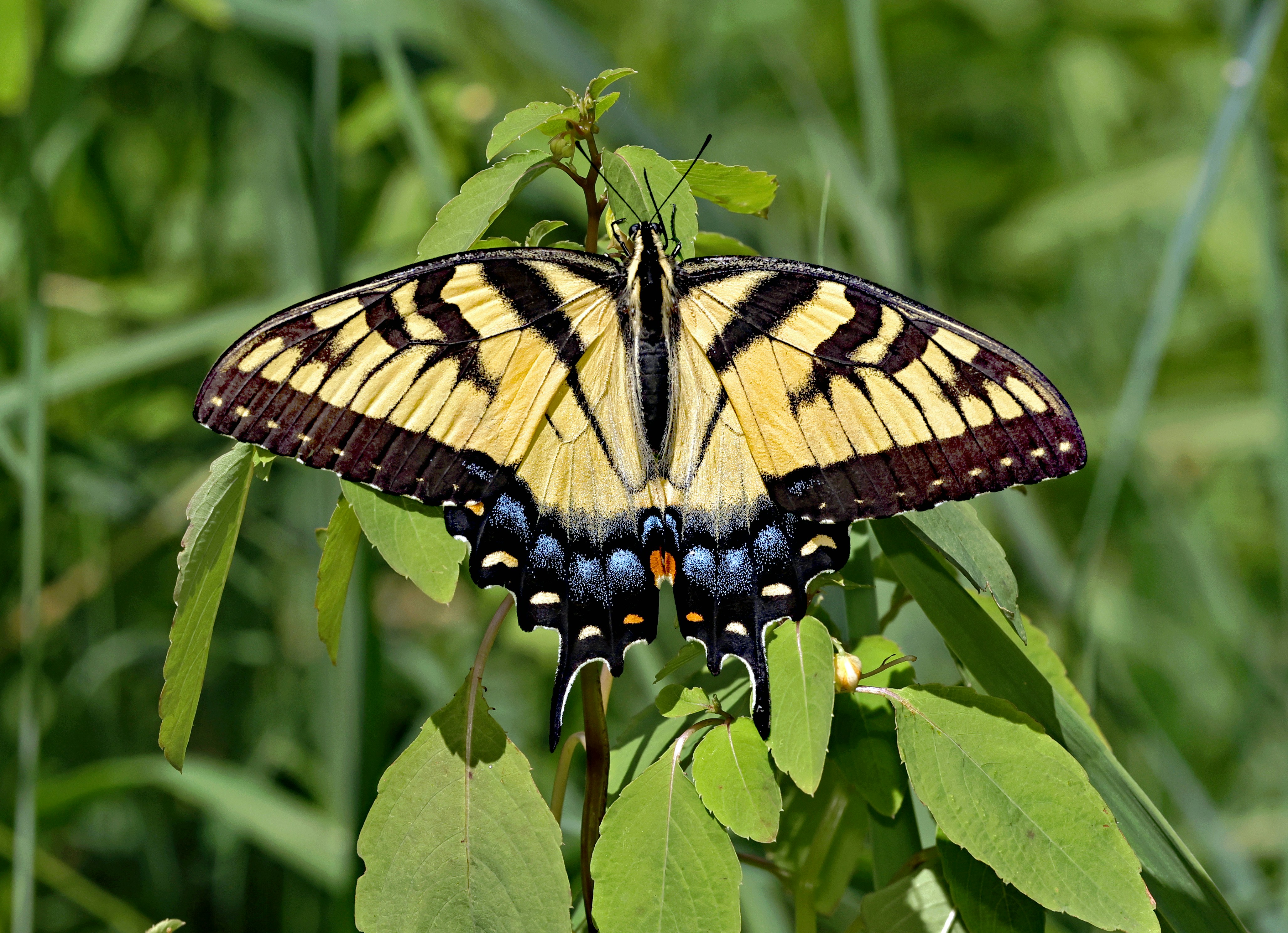 Photo by telliottmbamsc