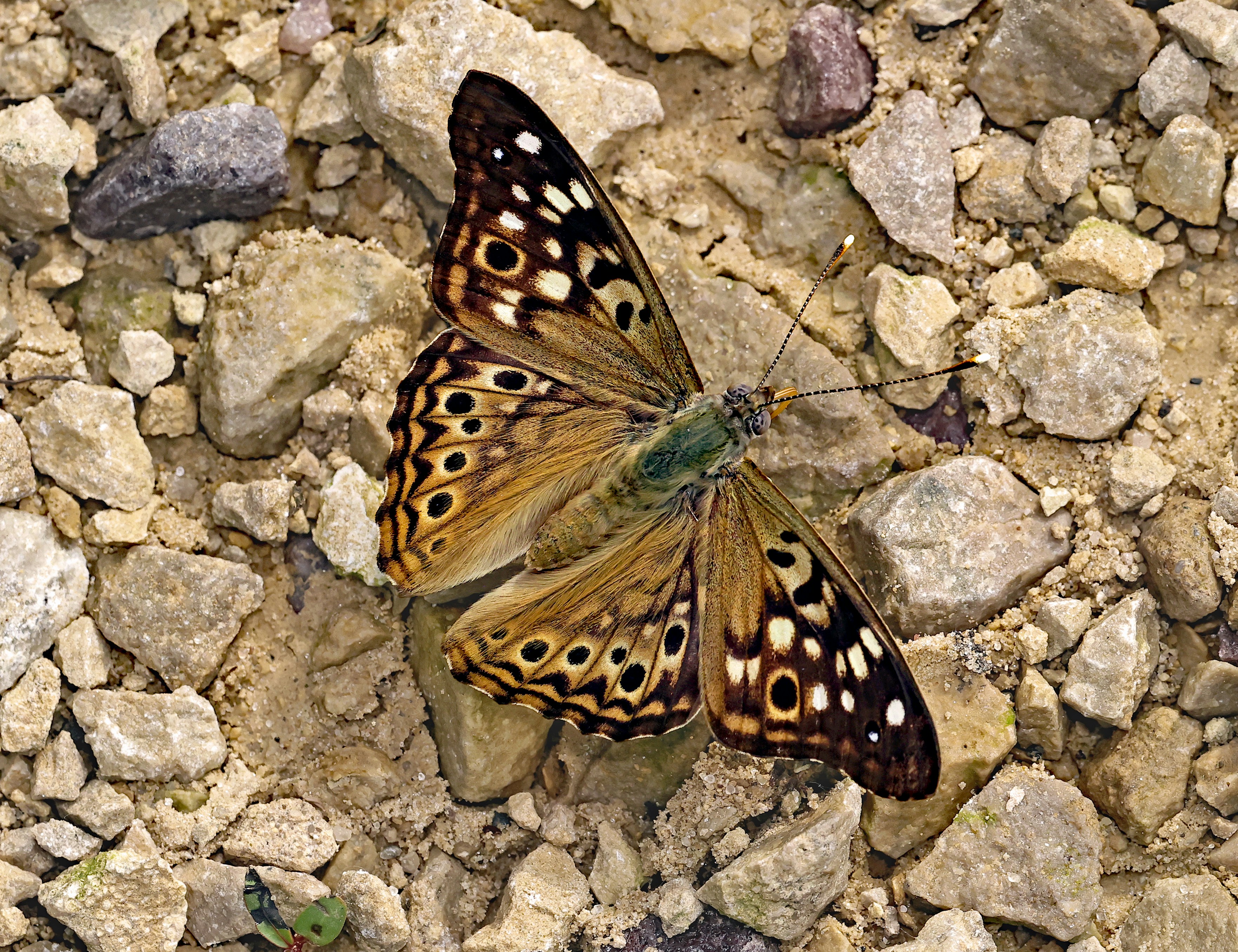 Photo by telliottmbamsc