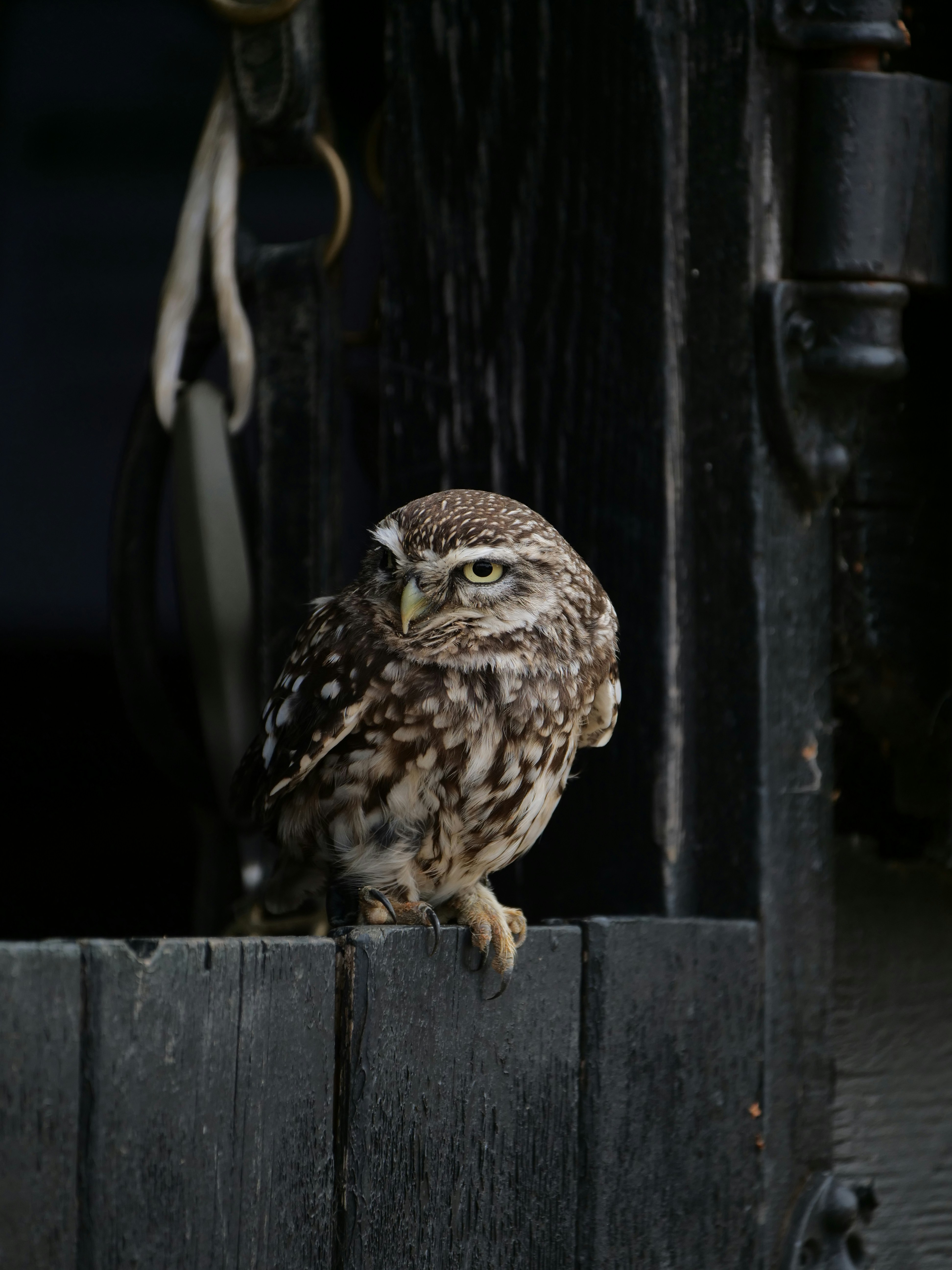 Photo by balmy_sunset