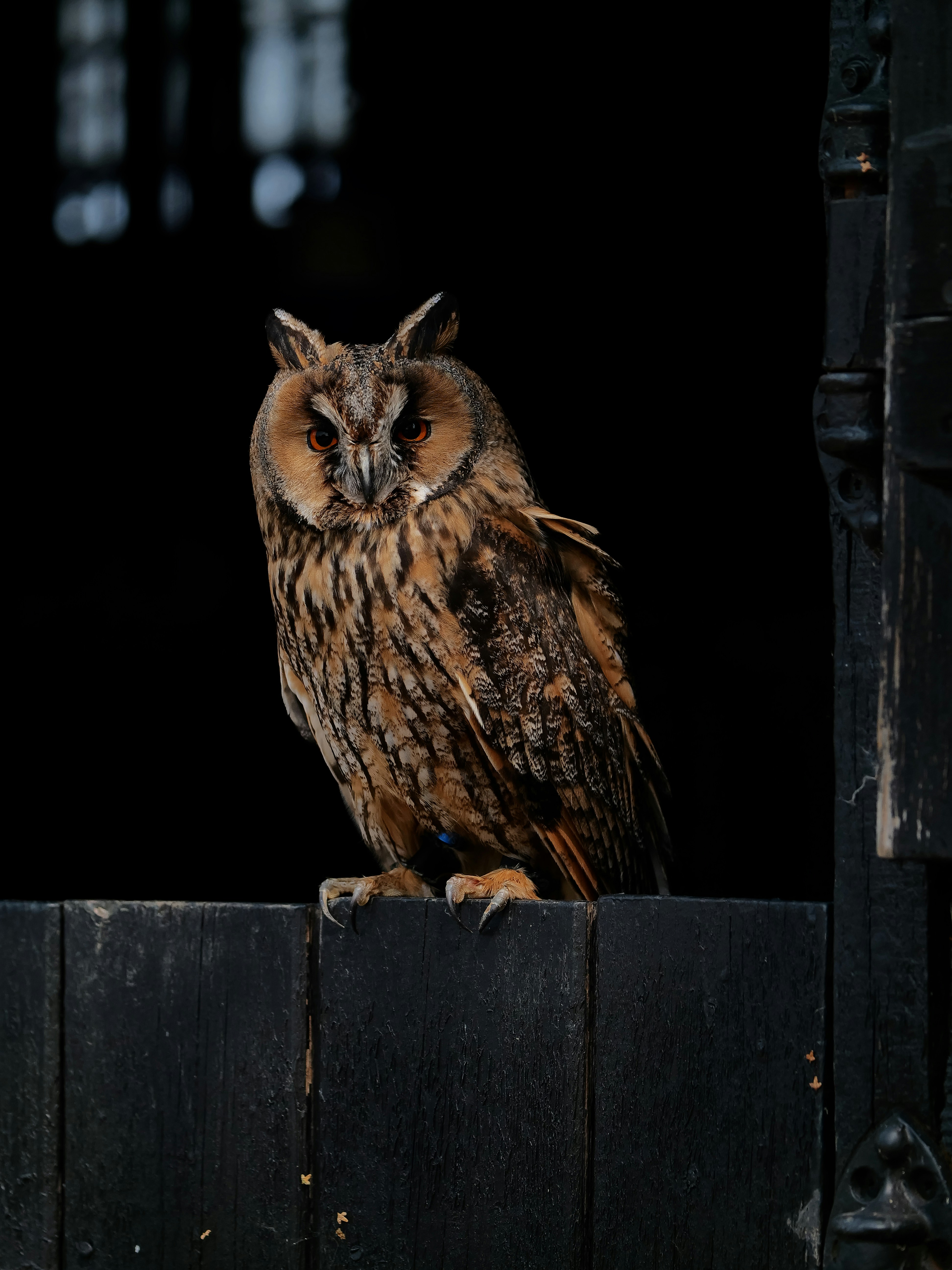 Photo by balmy_sunset