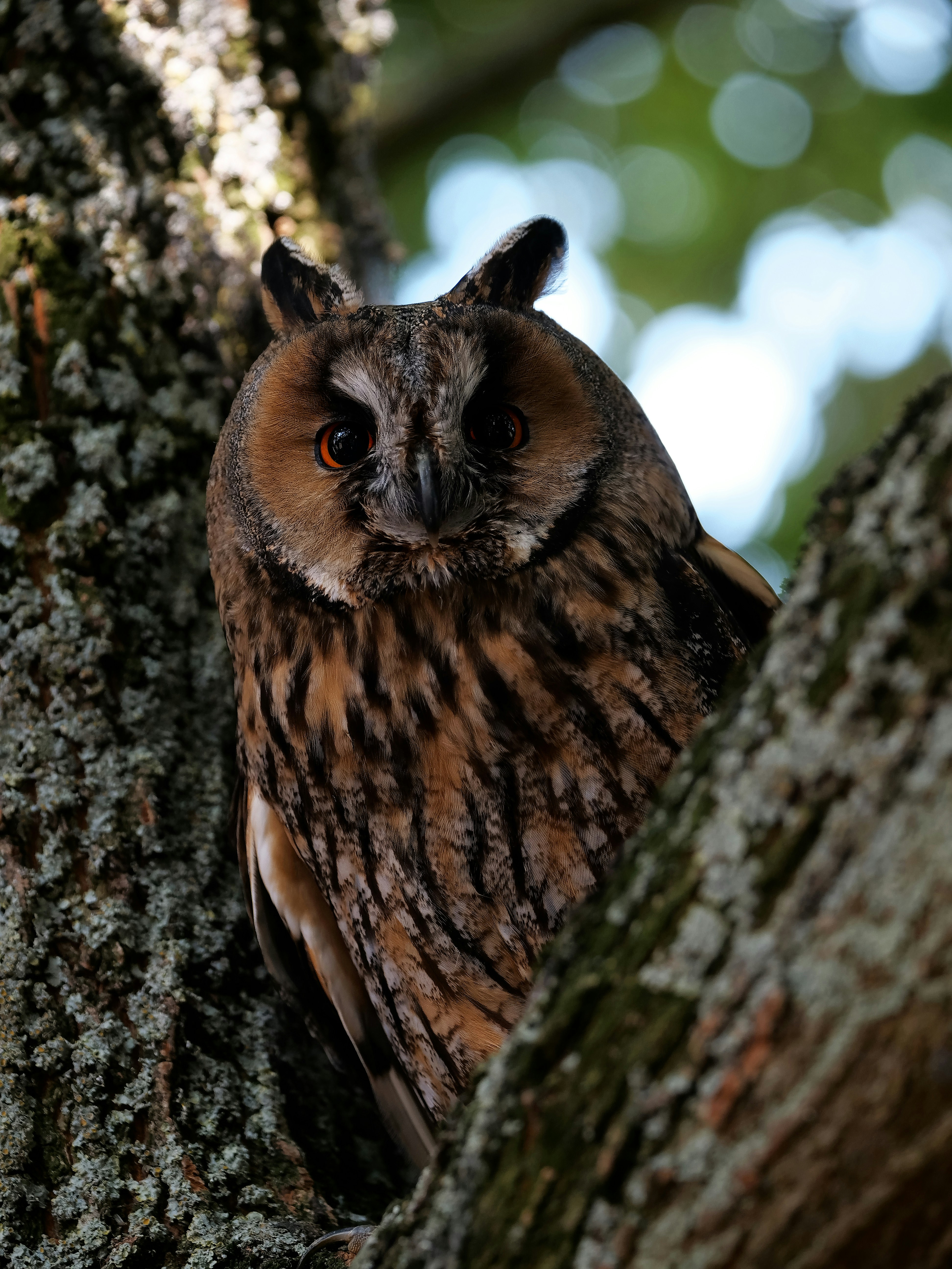 Photo by balmy_sunset