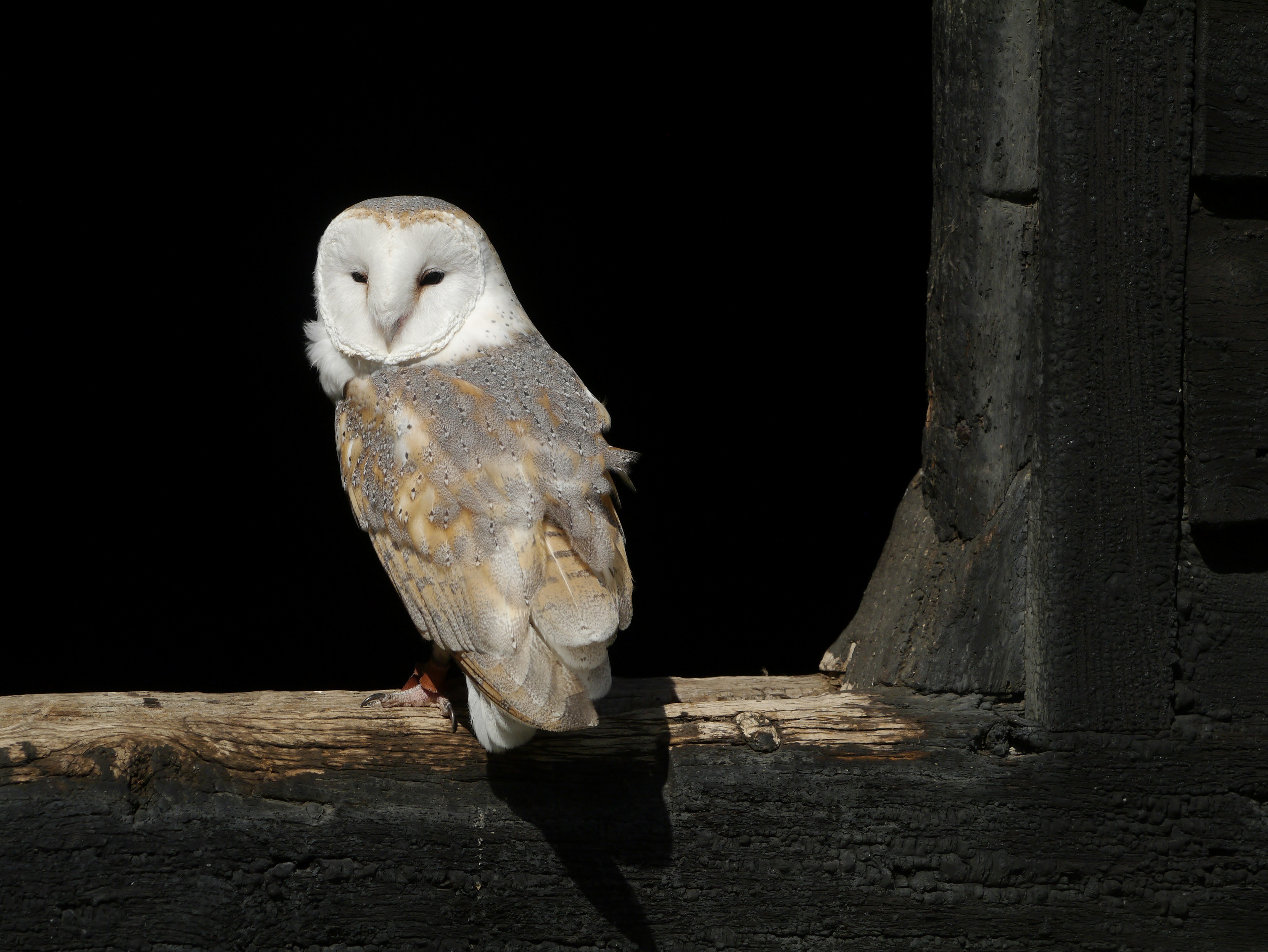 Photo by balmy_sunset