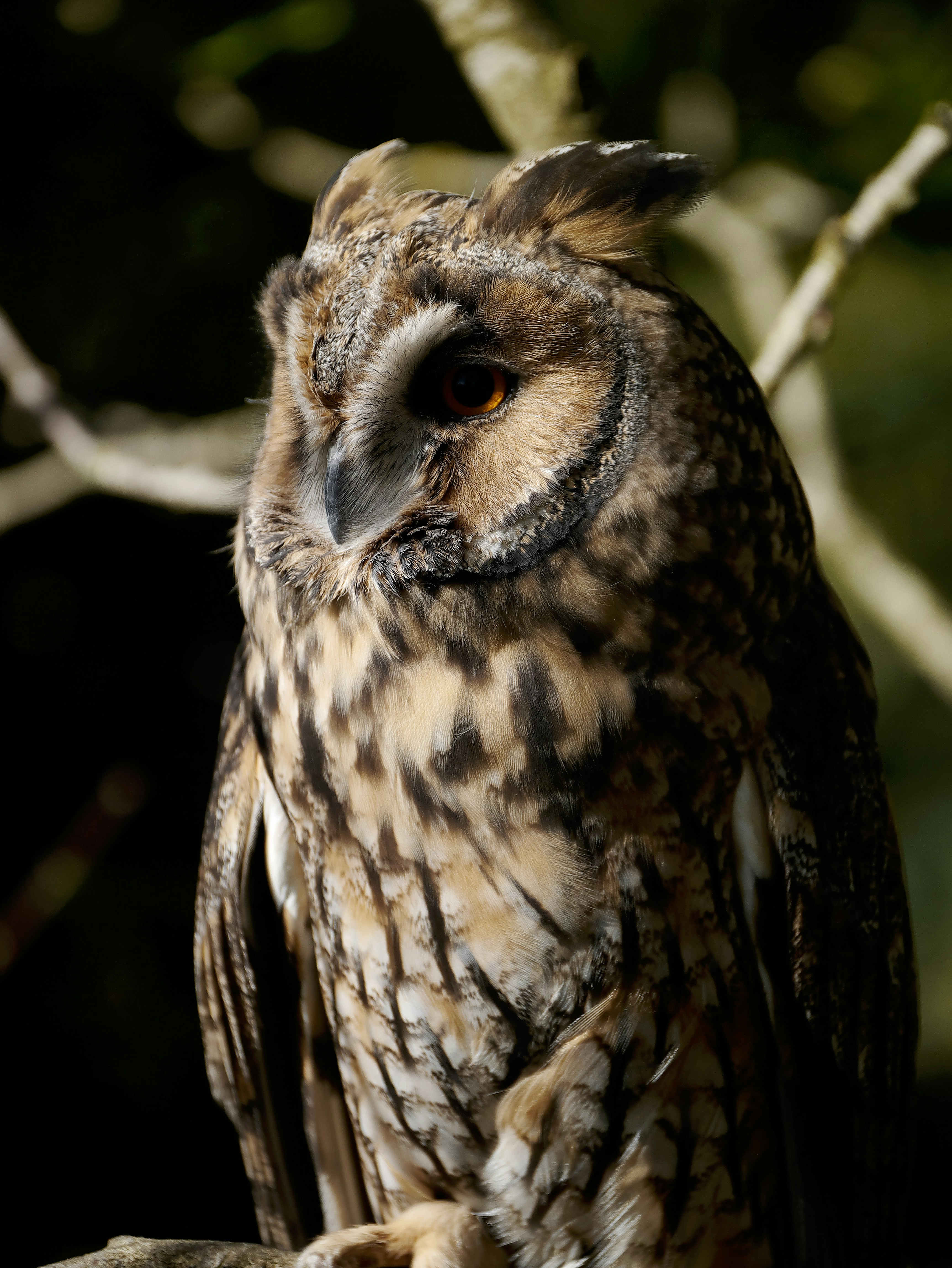 Photo by balmy_sunset