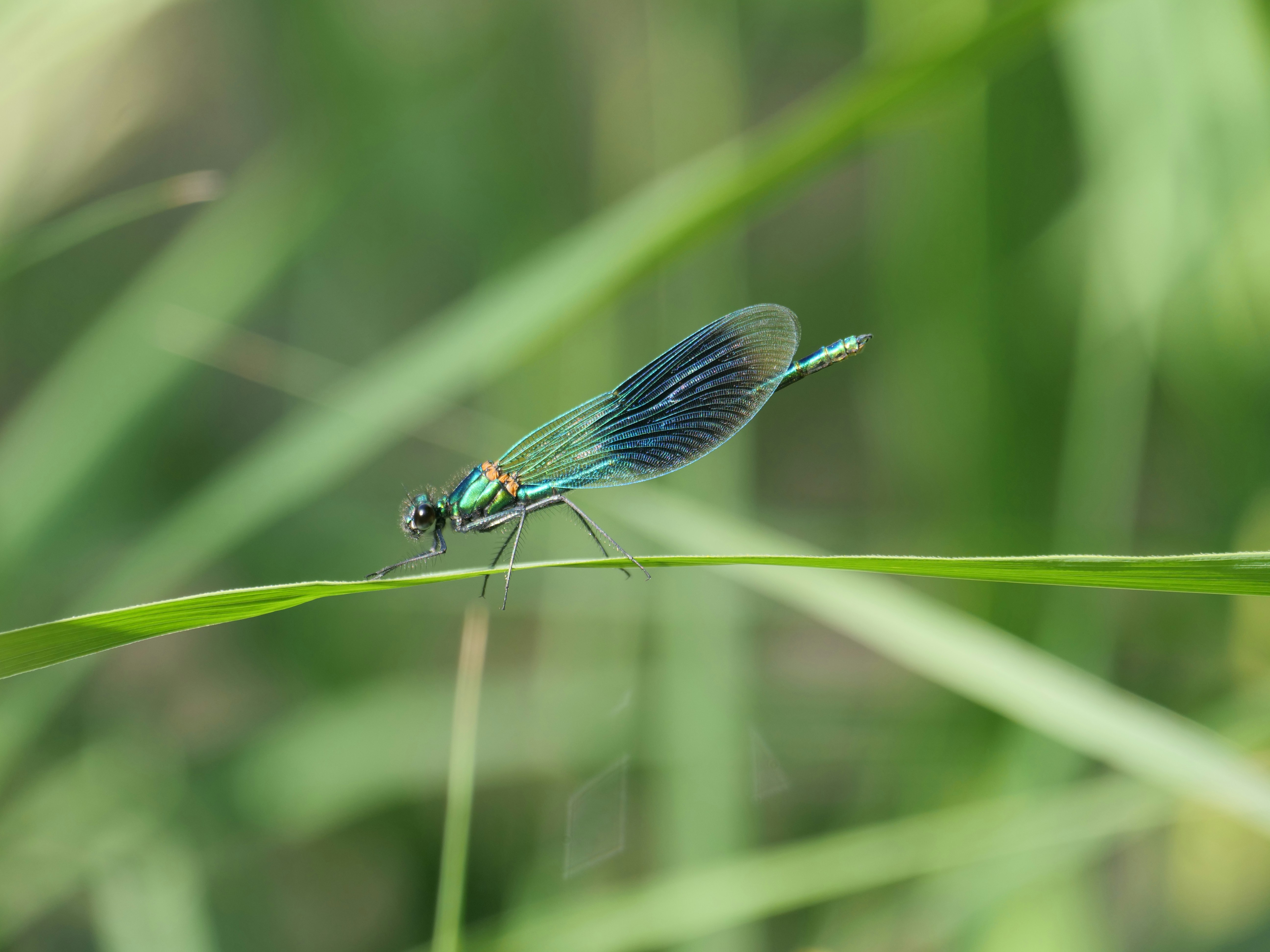 Photo by balmy_sunset