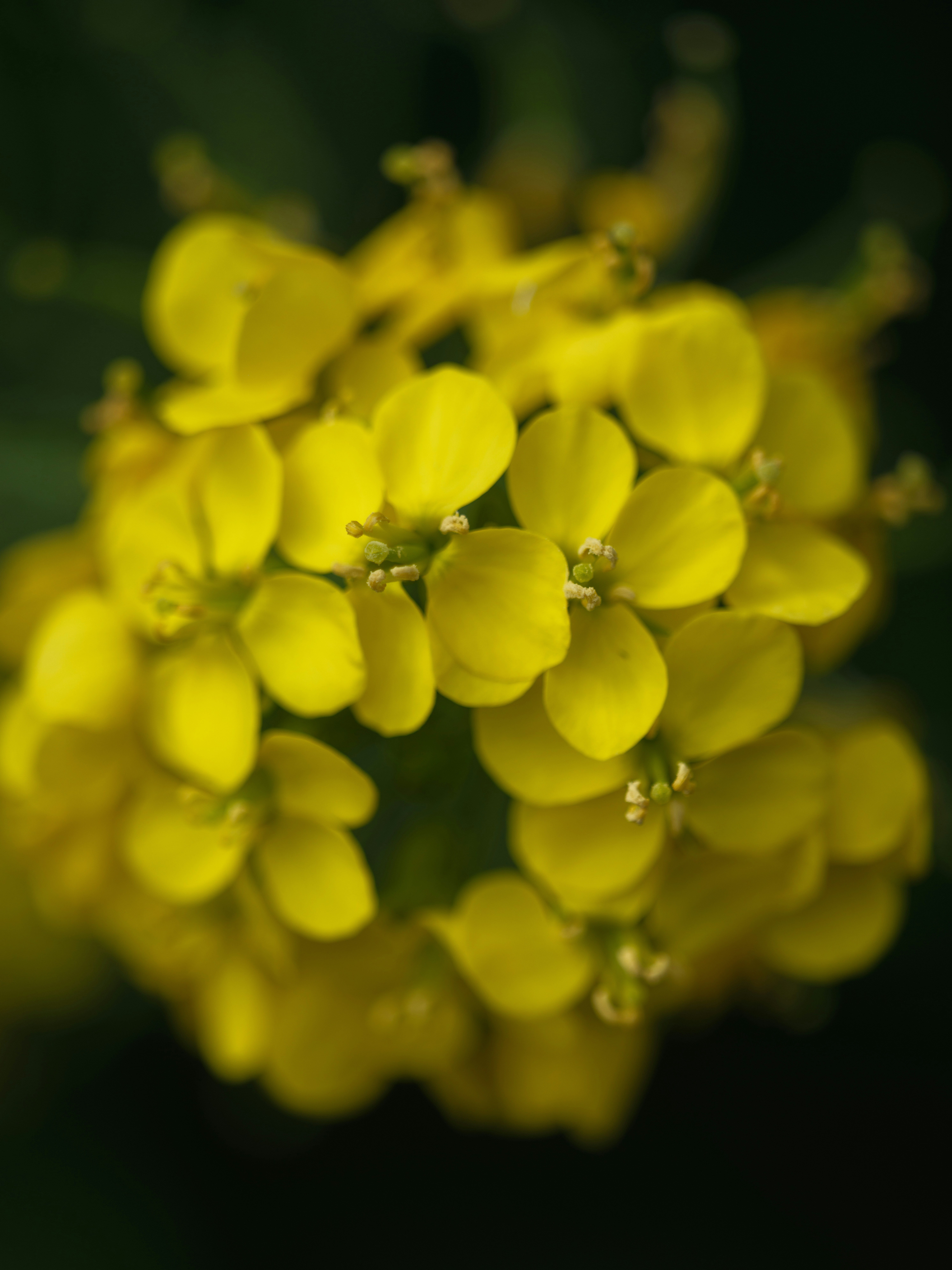 Photo by haberdoedas