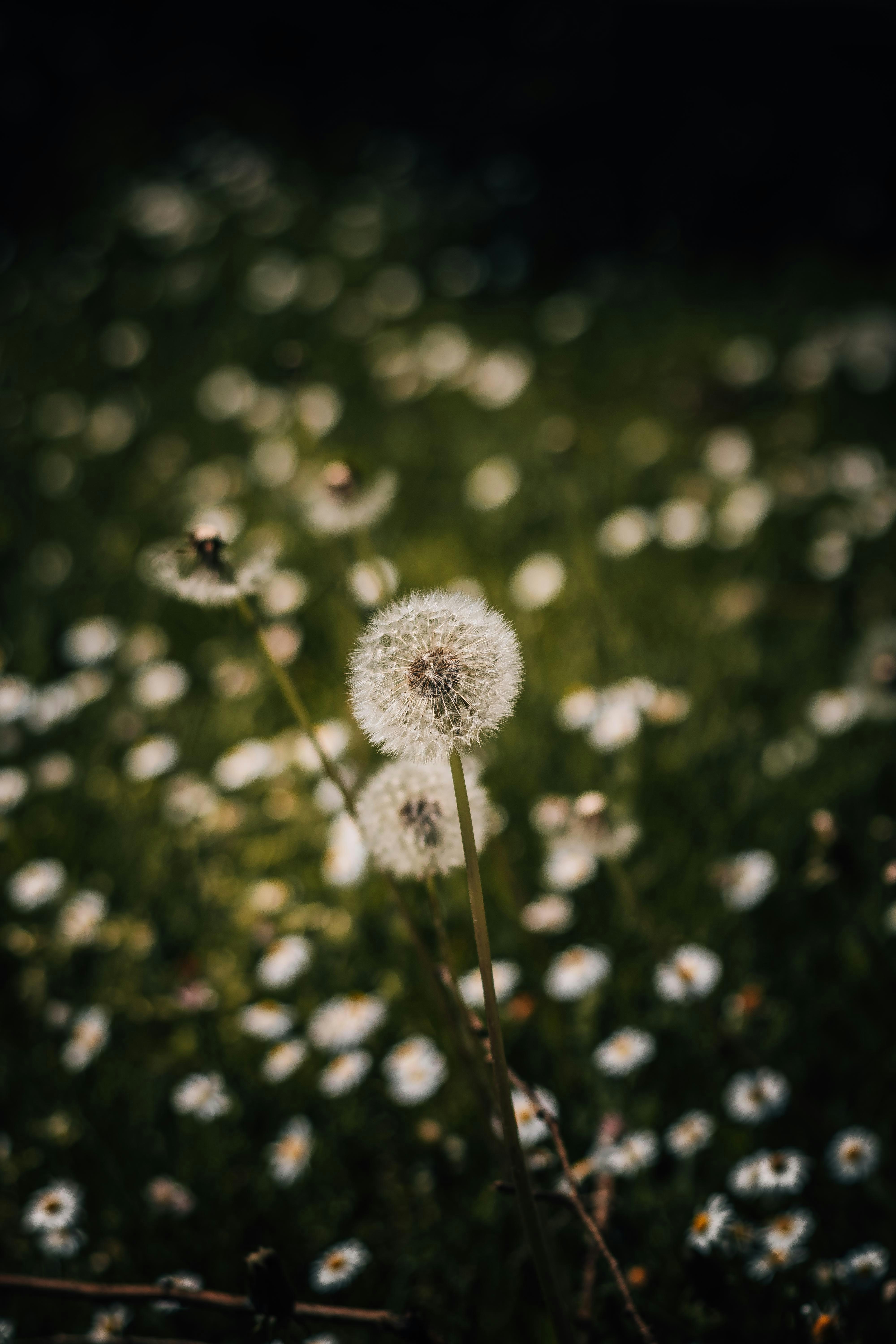 Photo by arlindphotography