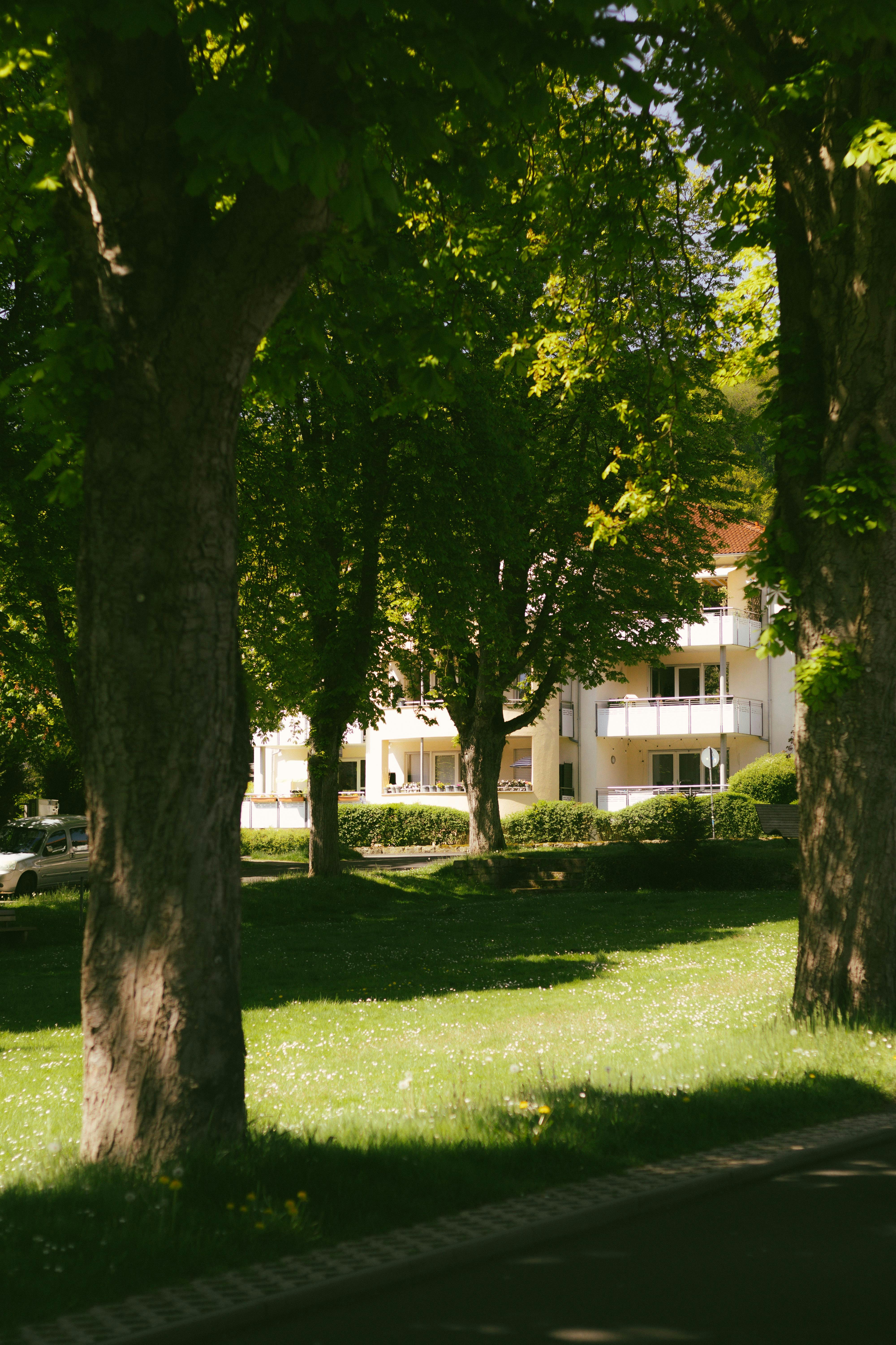 Photo by arlindphotography