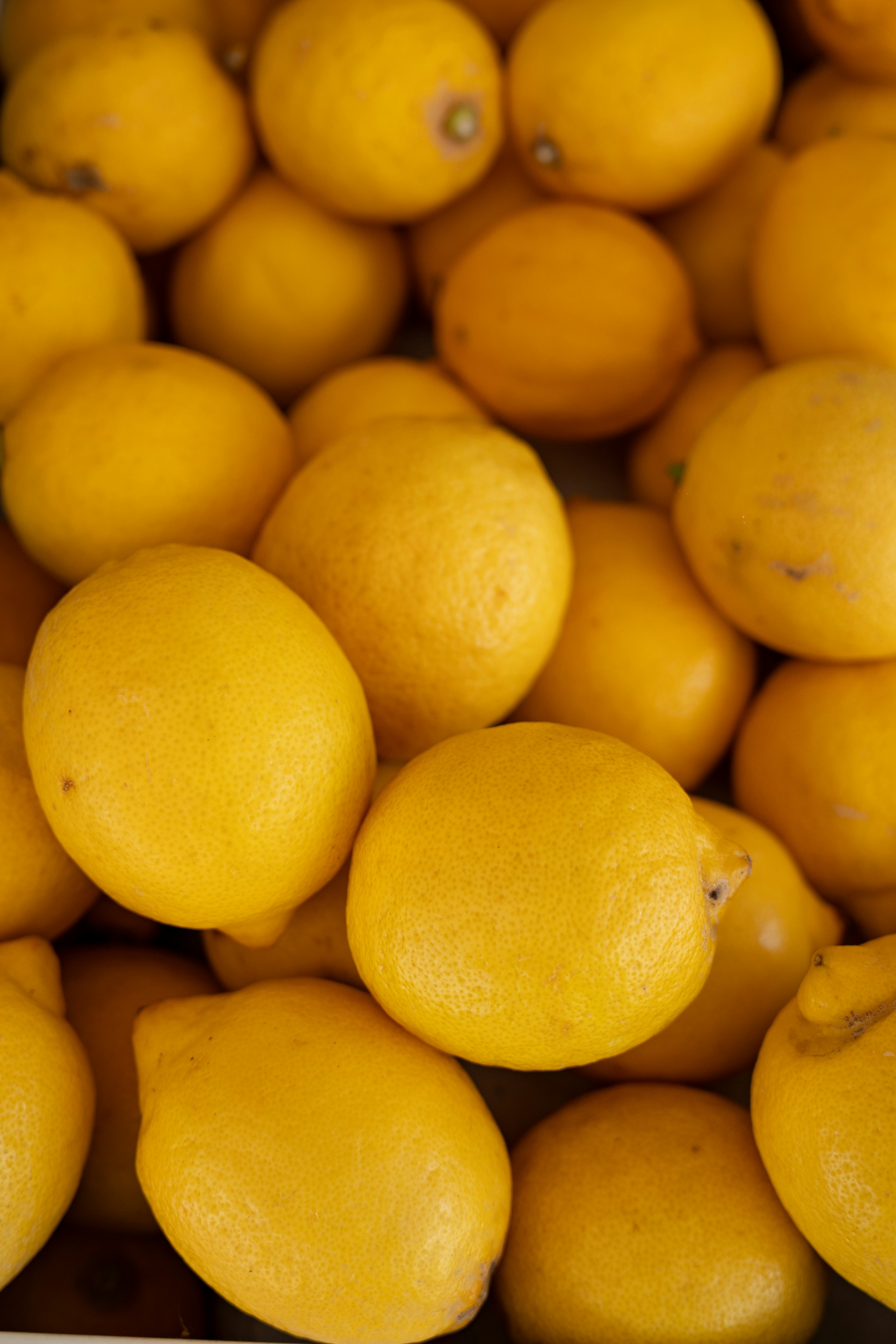 Photo by mitiliemitili