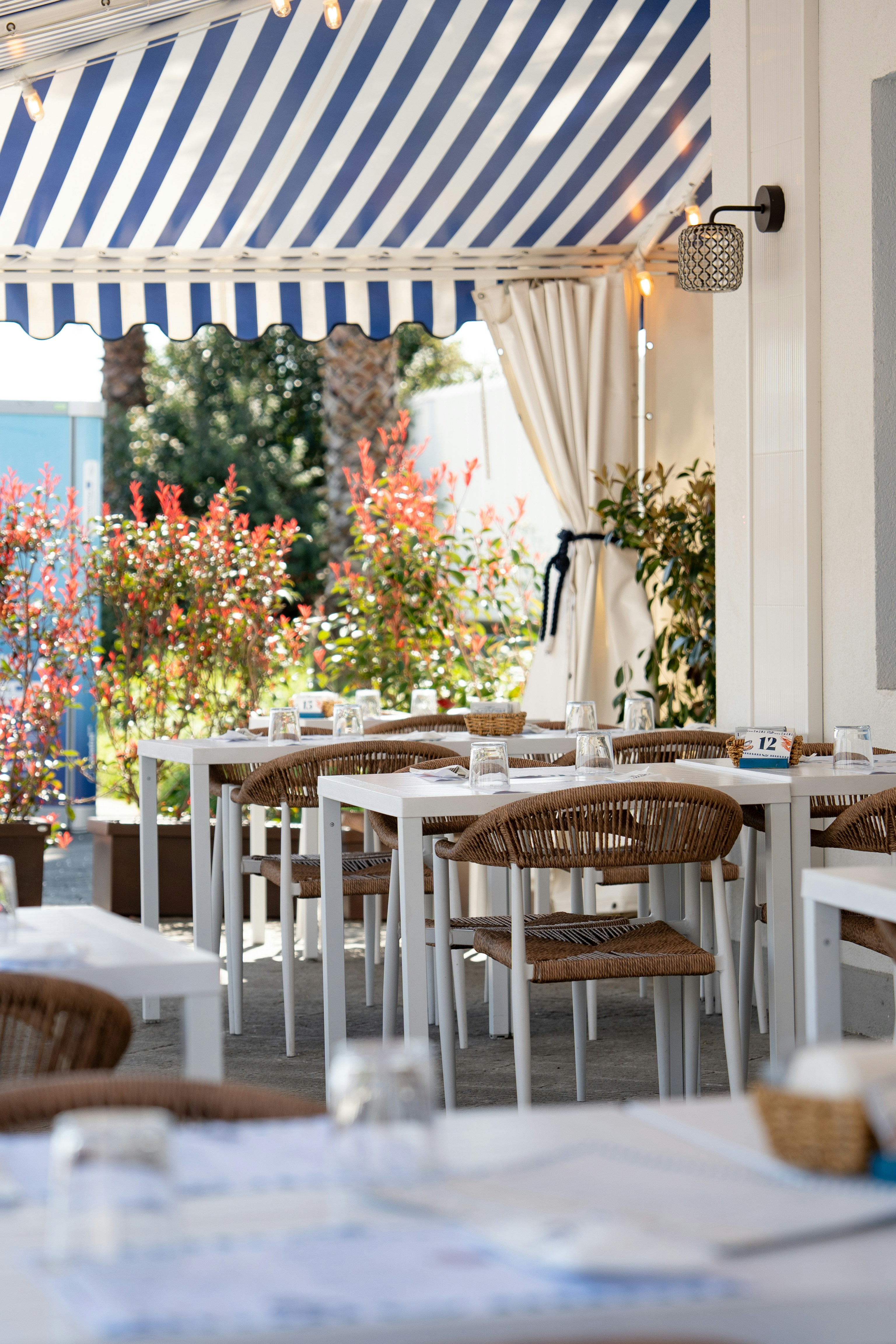 Photo by mitiliemitili