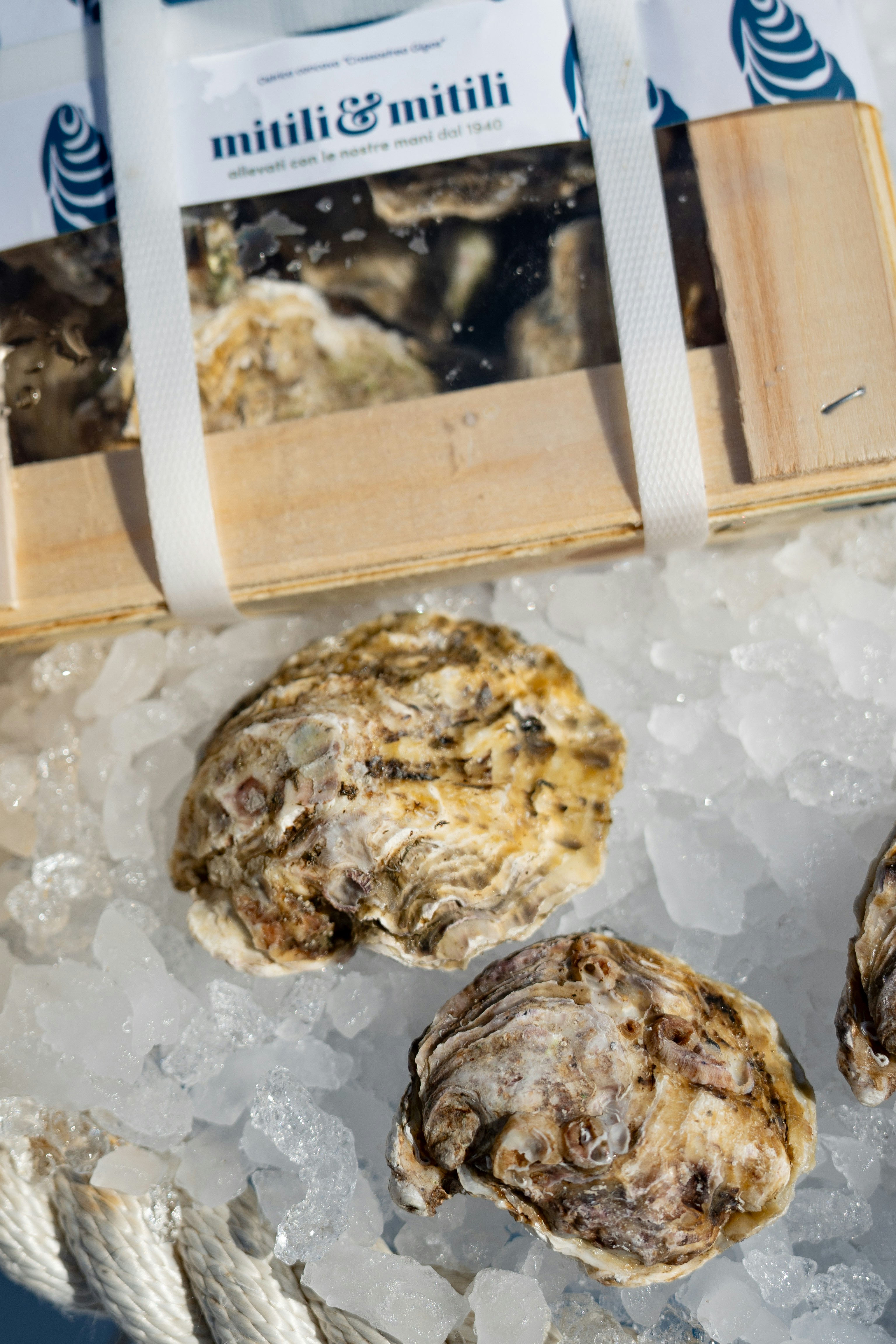 Photo by mitiliemitili