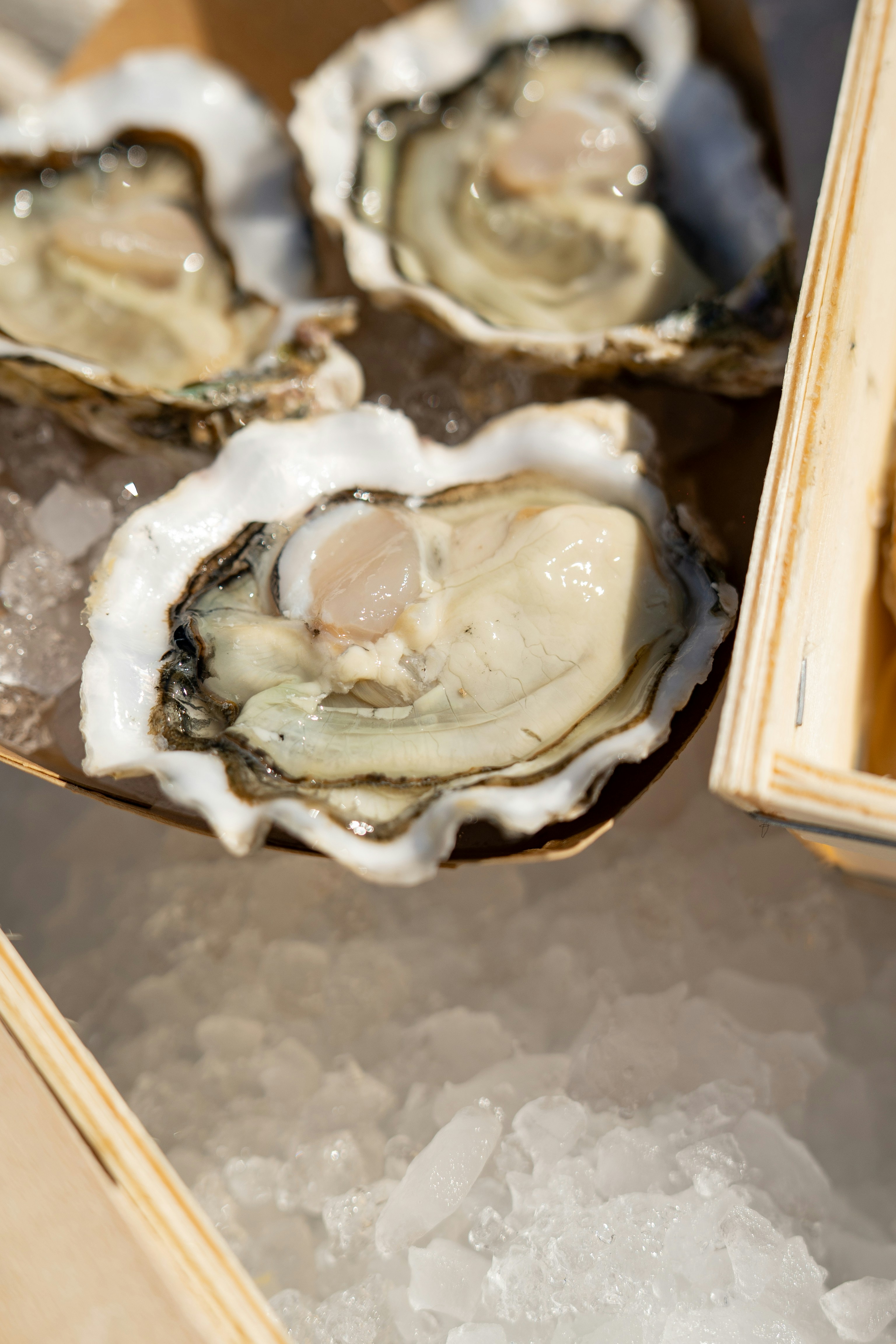 Photo by mitiliemitili