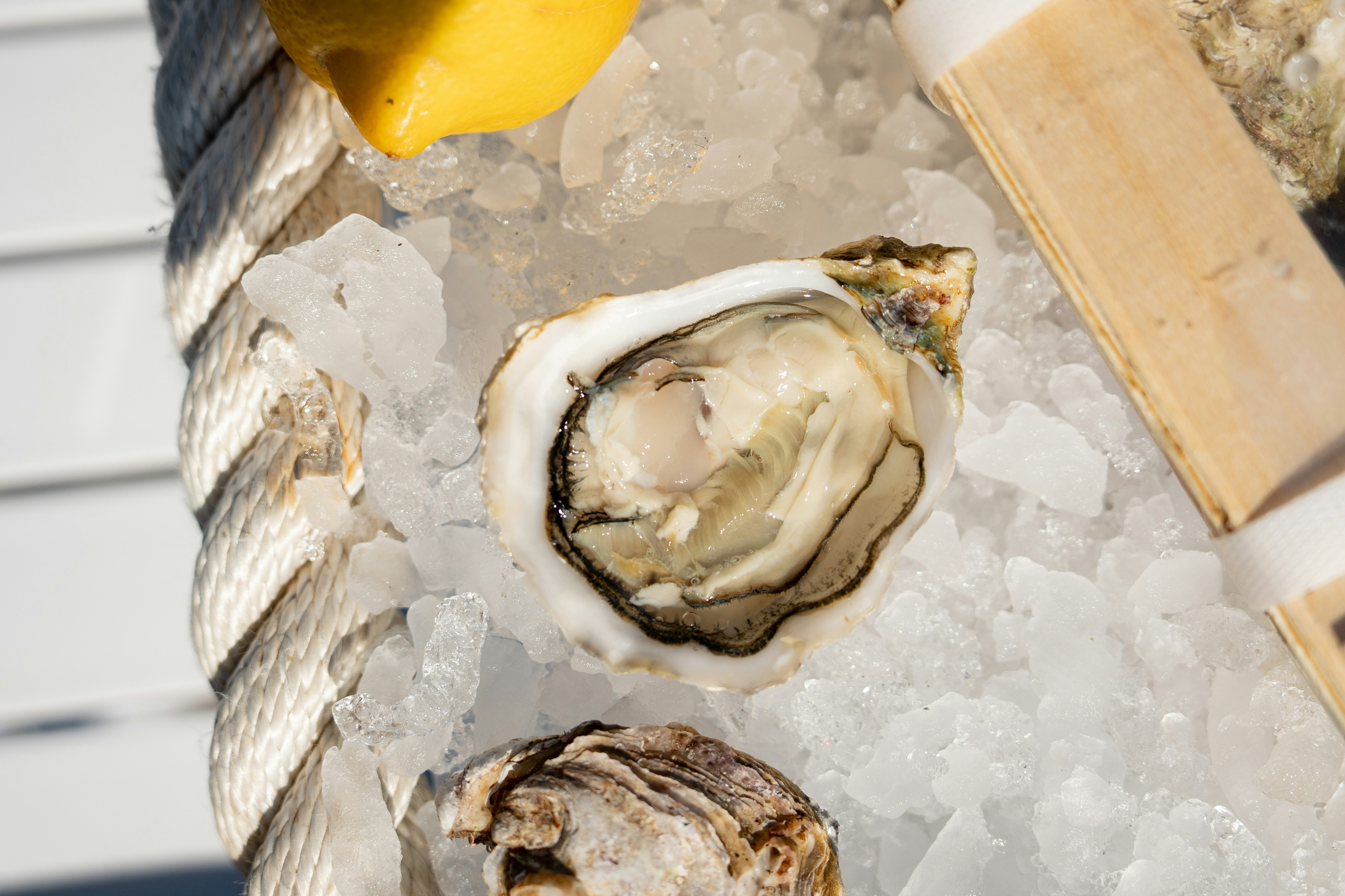 Photo by mitiliemitili