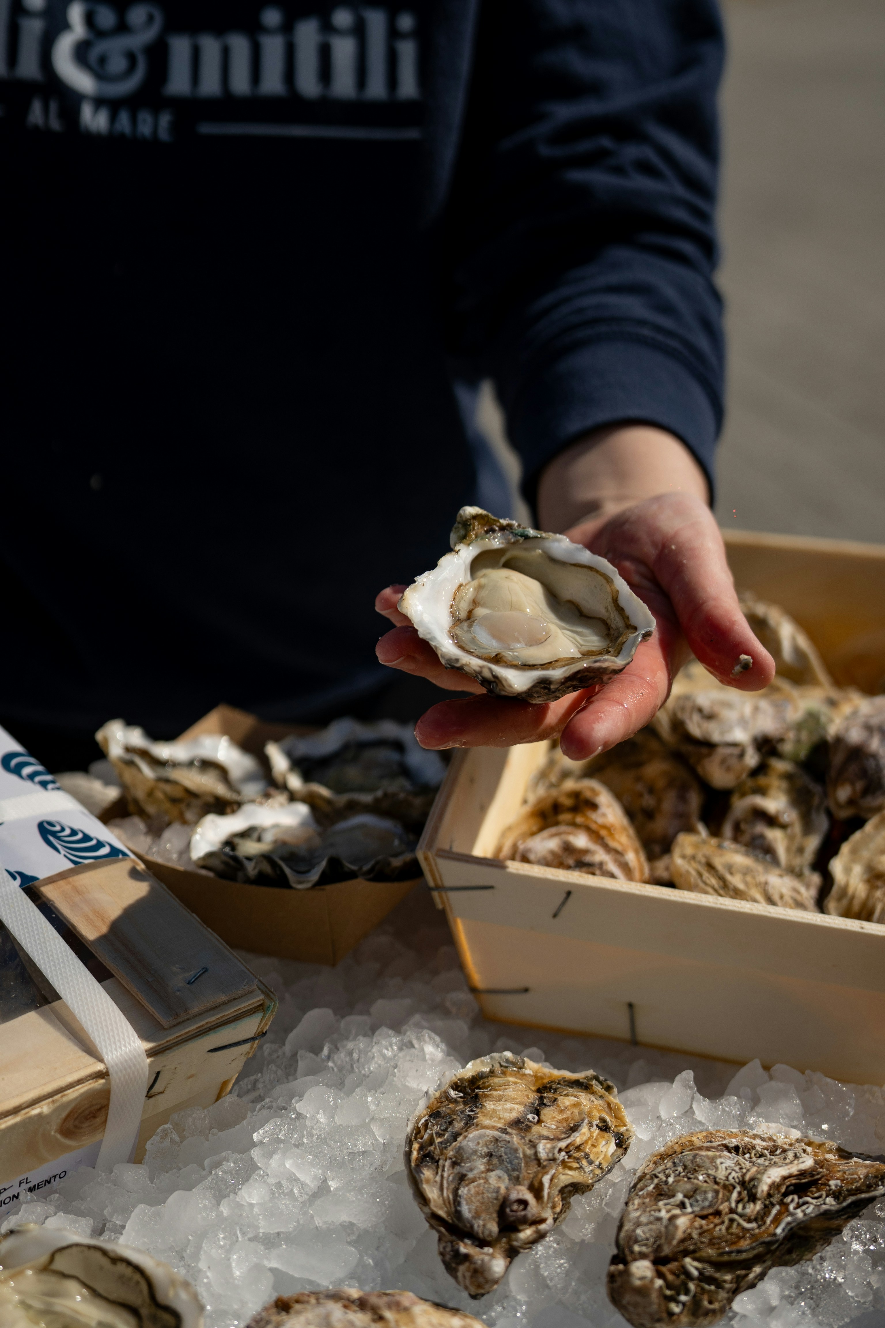 Photo by mitiliemitili