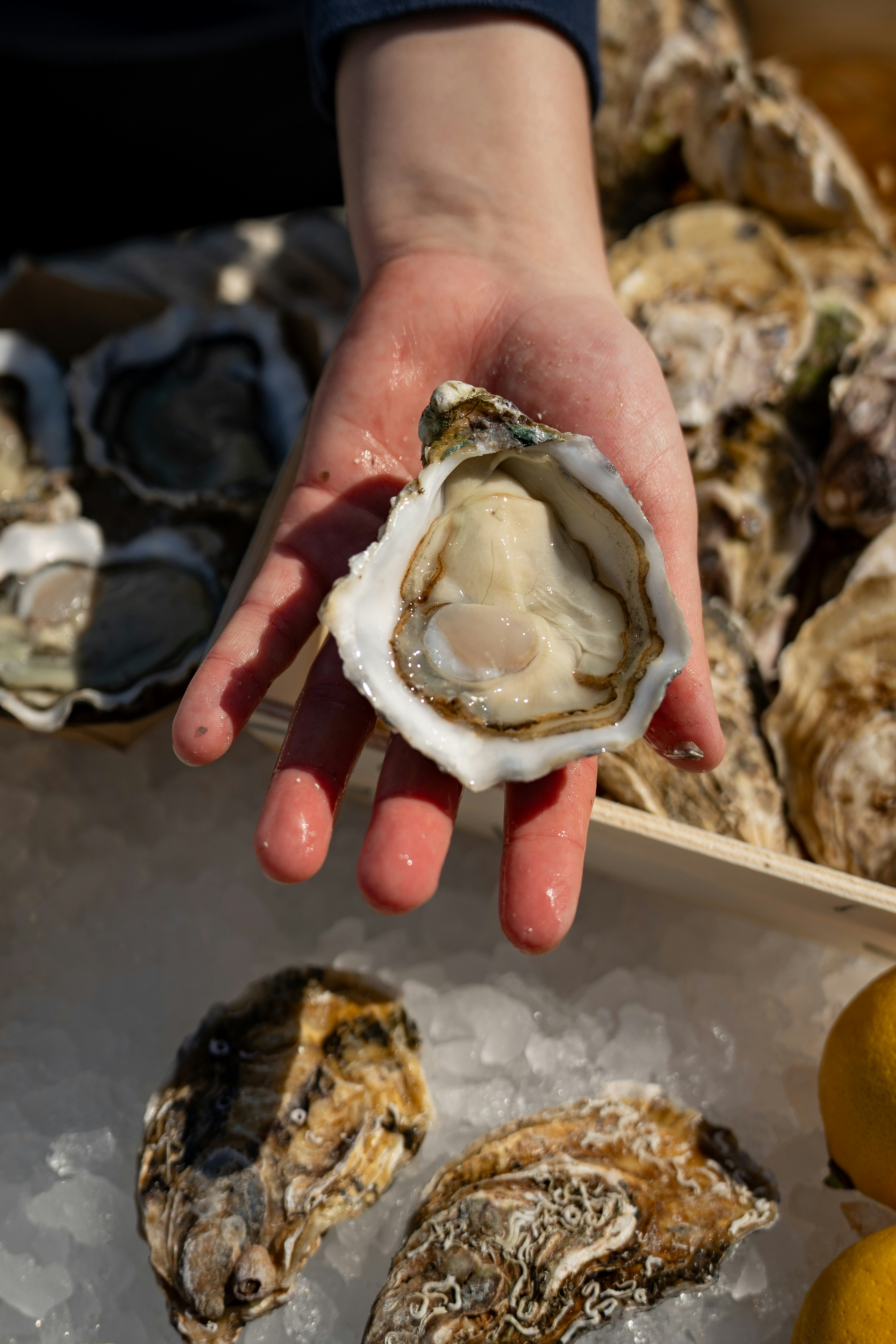 Photo by mitiliemitili