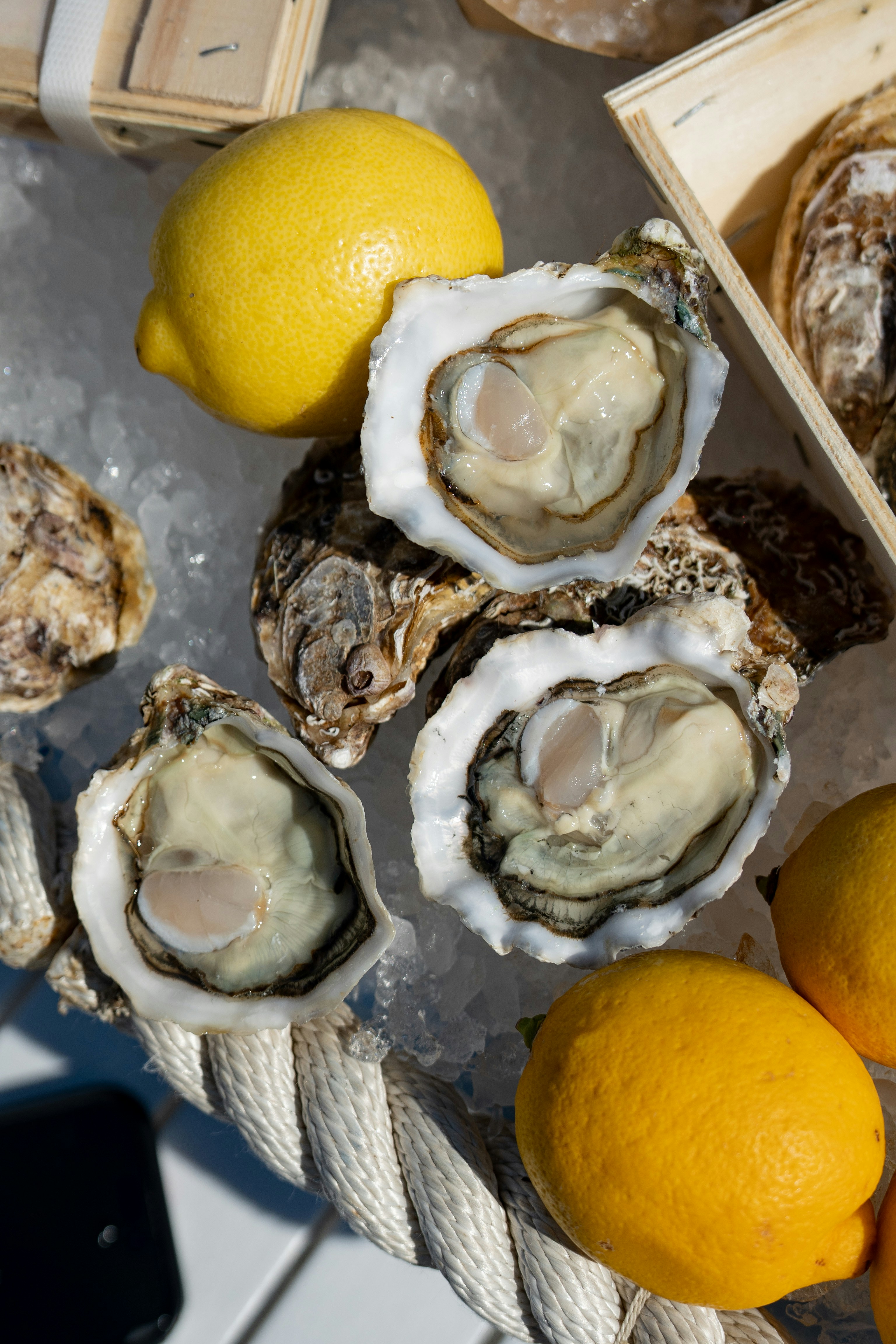 Photo by mitiliemitili