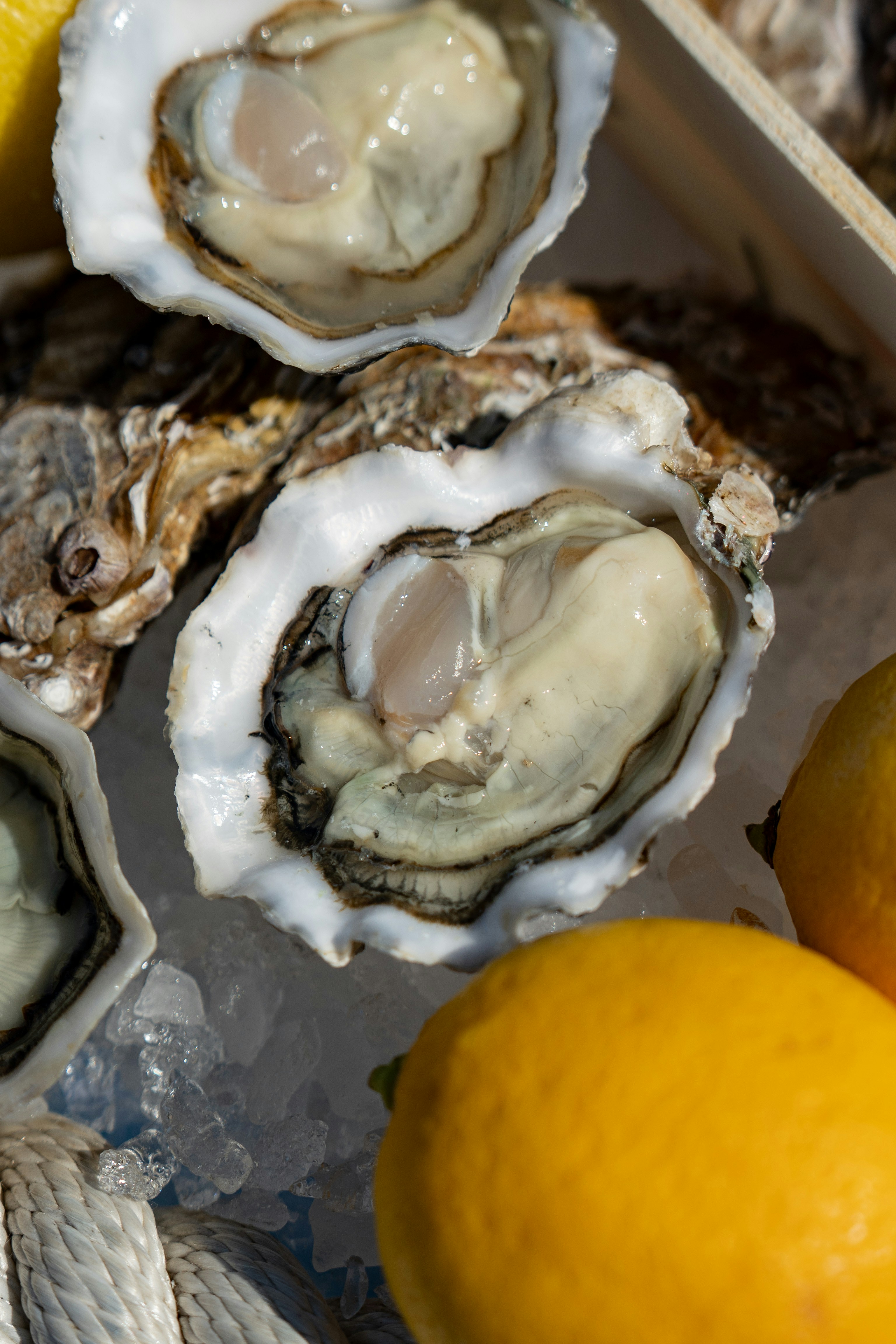 Photo by mitiliemitili