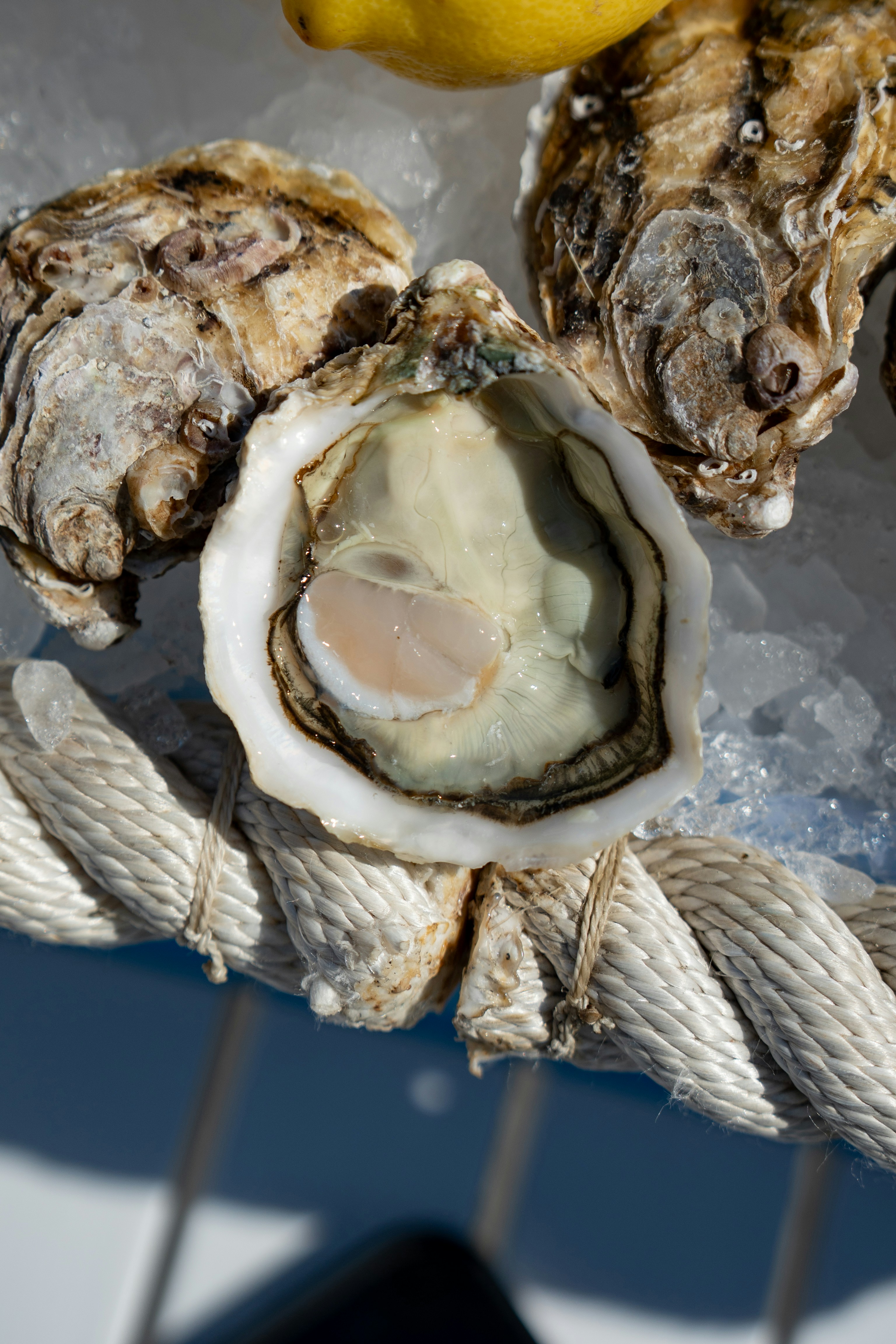 Photo by mitiliemitili