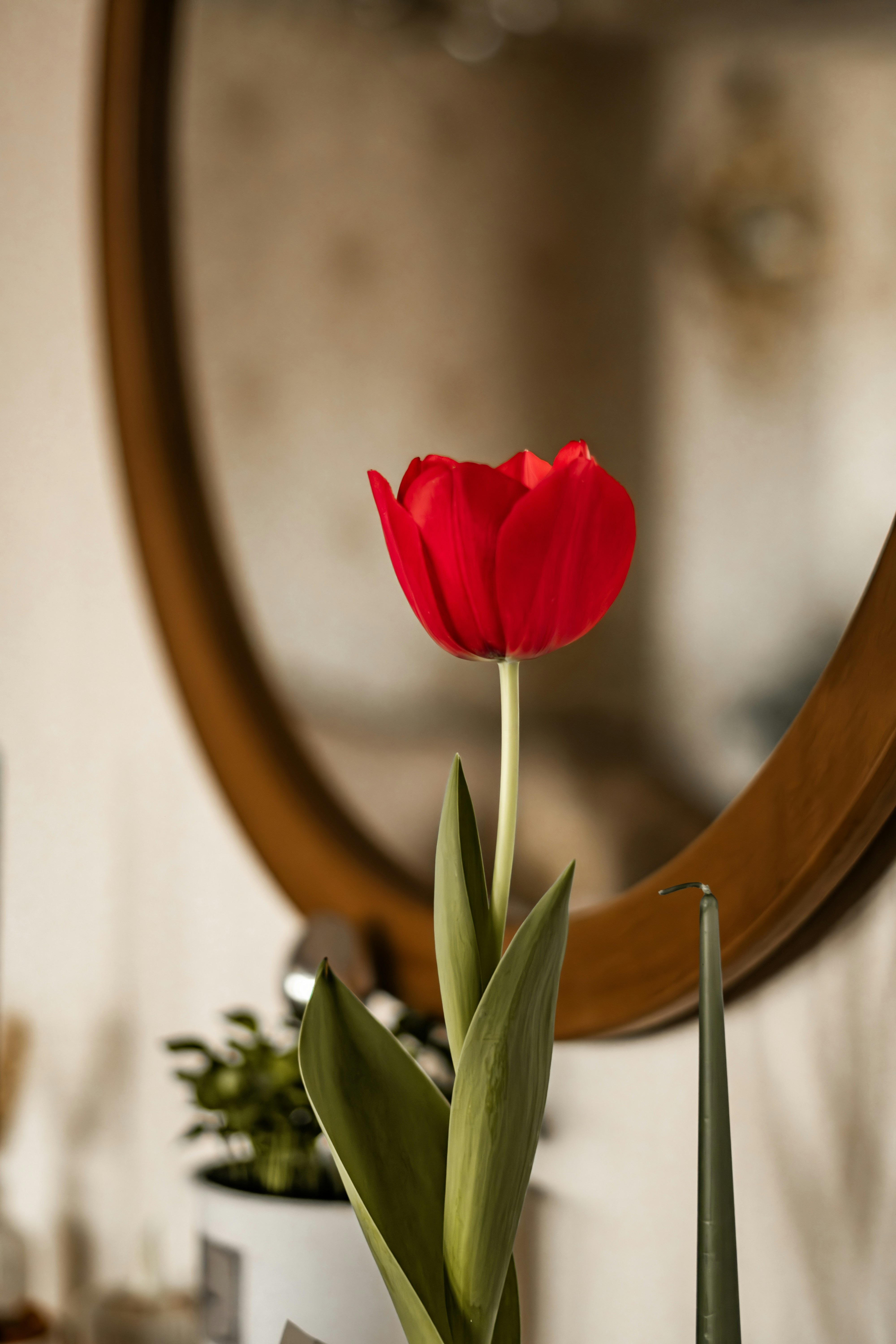 Photo by idinebrahimi