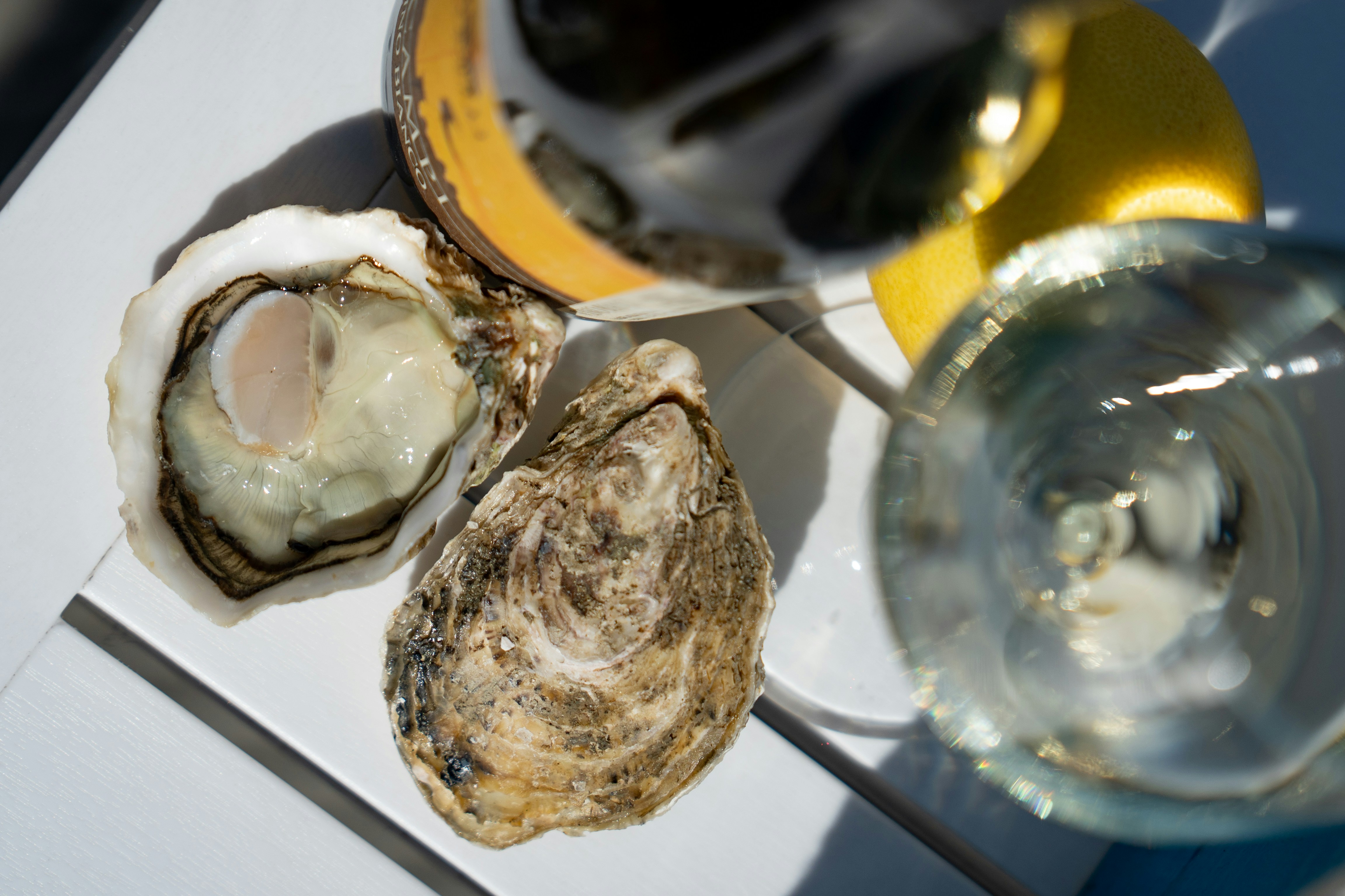 Photo by mitiliemitili