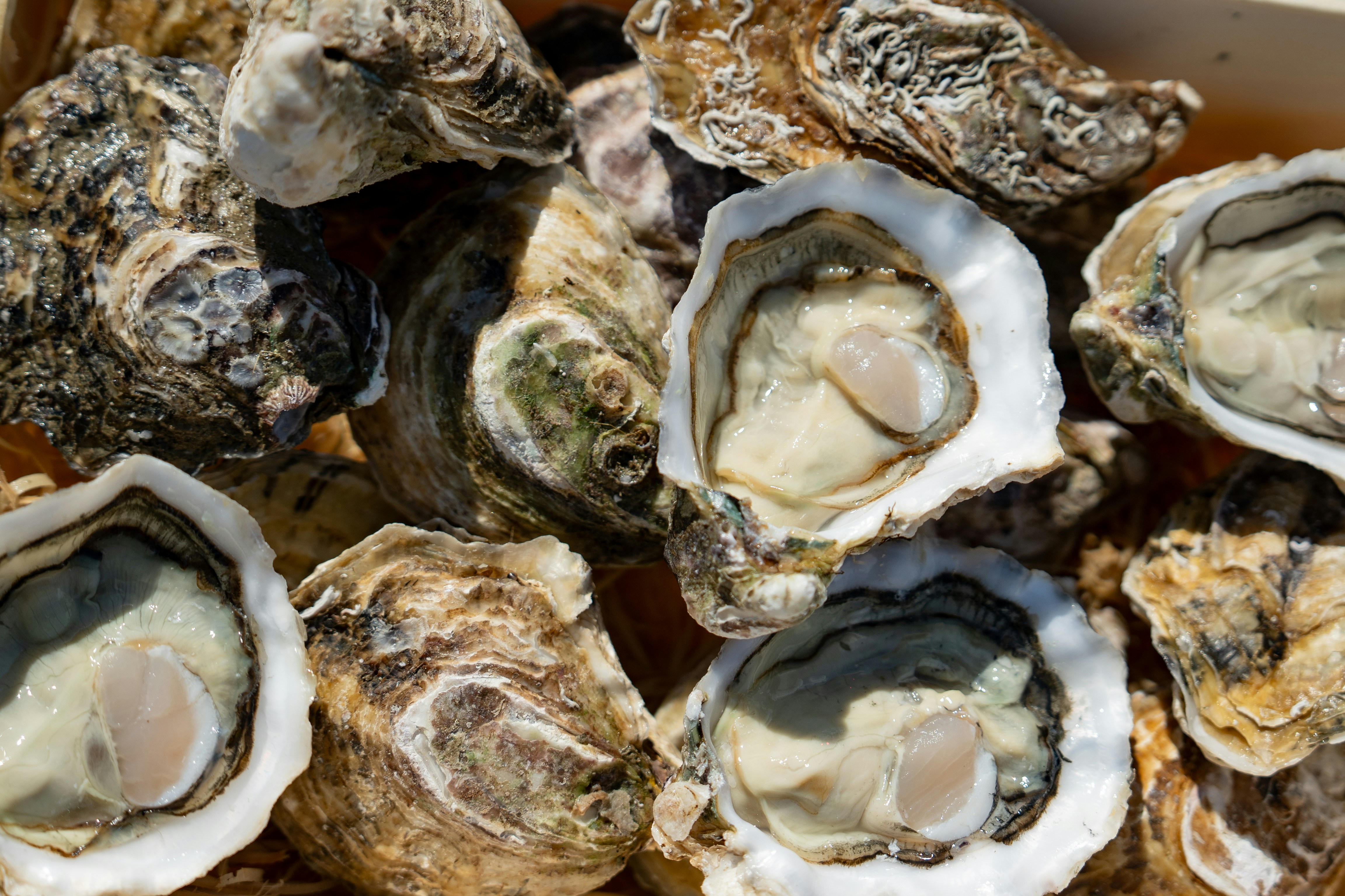 Photo by mitiliemitili