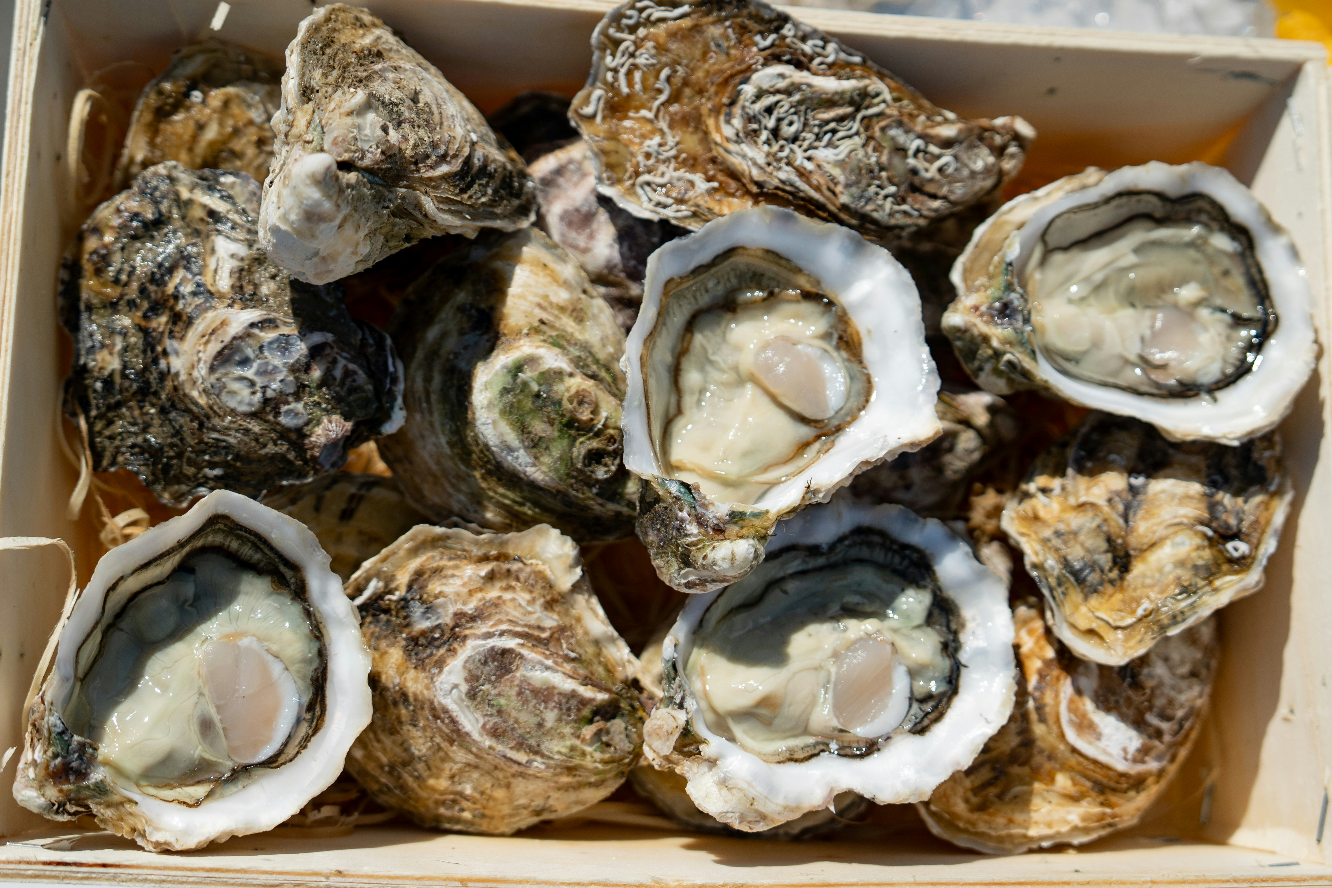 Photo by mitiliemitili