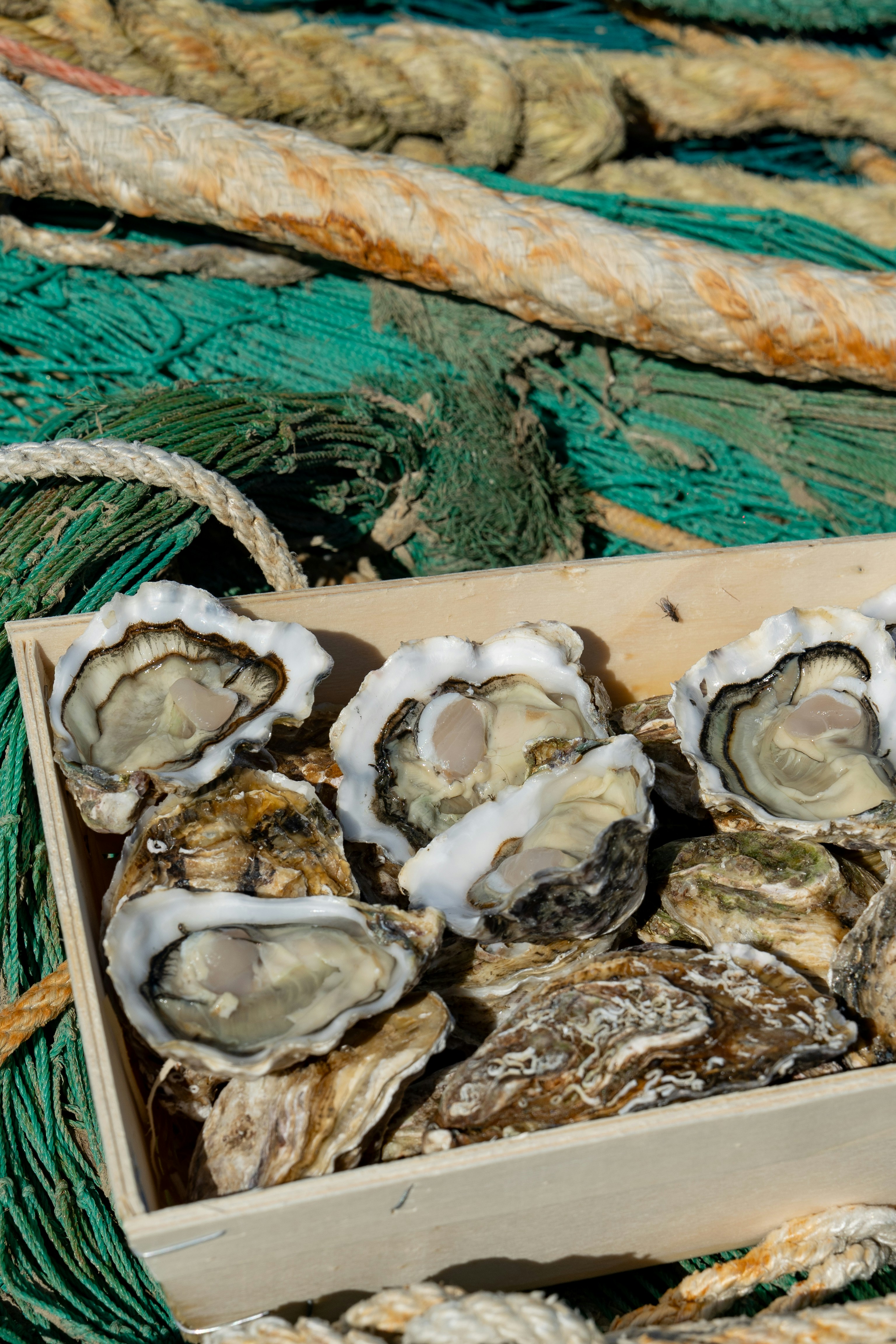 Photo by mitiliemitili