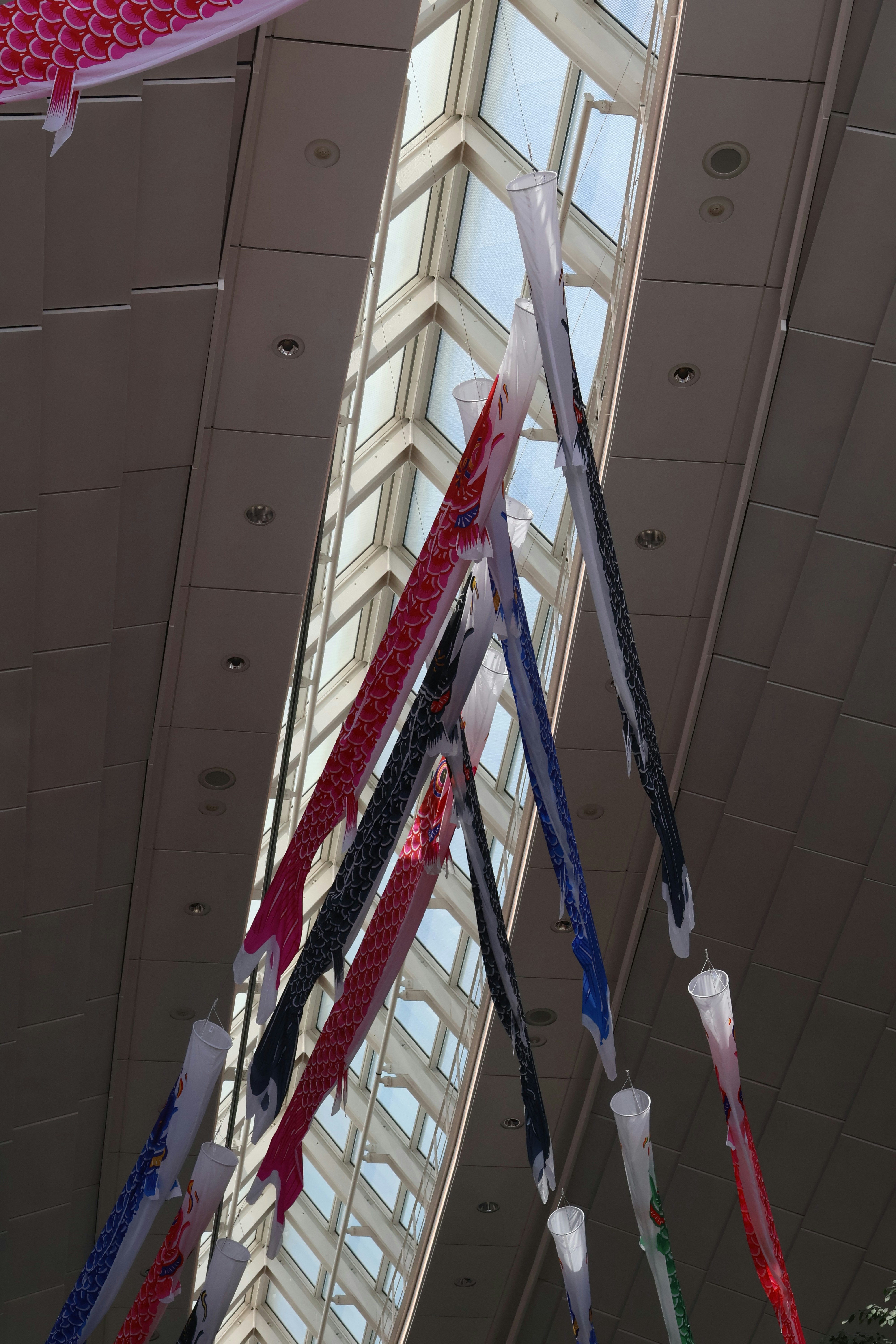 Koi nobori decorations hang from the ceiling.