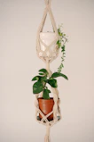 Macrame plant hanger holds two potted plants.