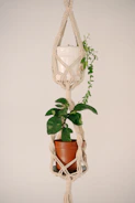 Macrame plant hanger holds two potted plants.