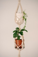 Macrame plant hanger holds two potted plants.