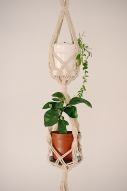 Macrame plant hanger holds two potted plants.