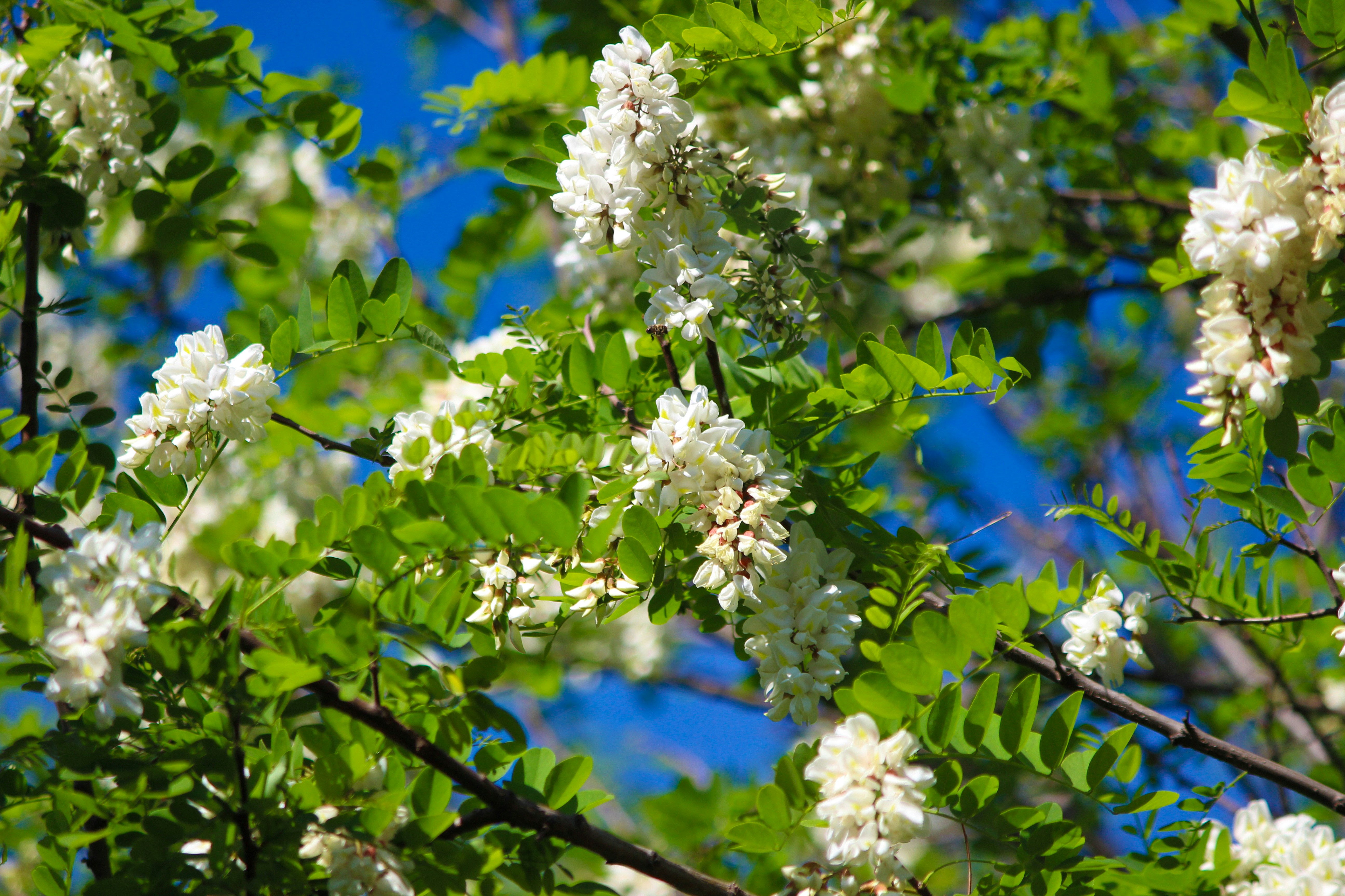 Photo by fotografialuivlad