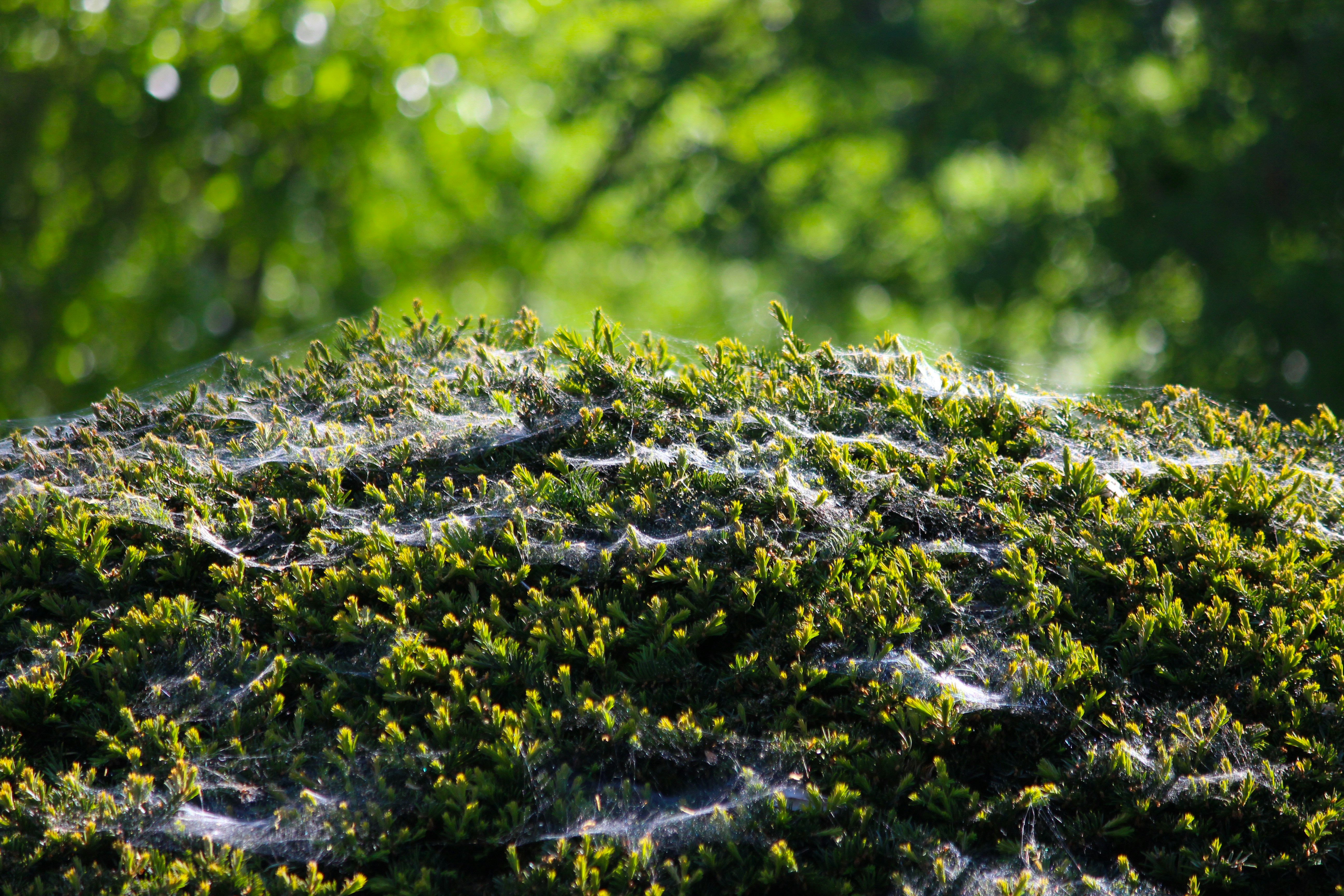 Photo by fotografialuivlad