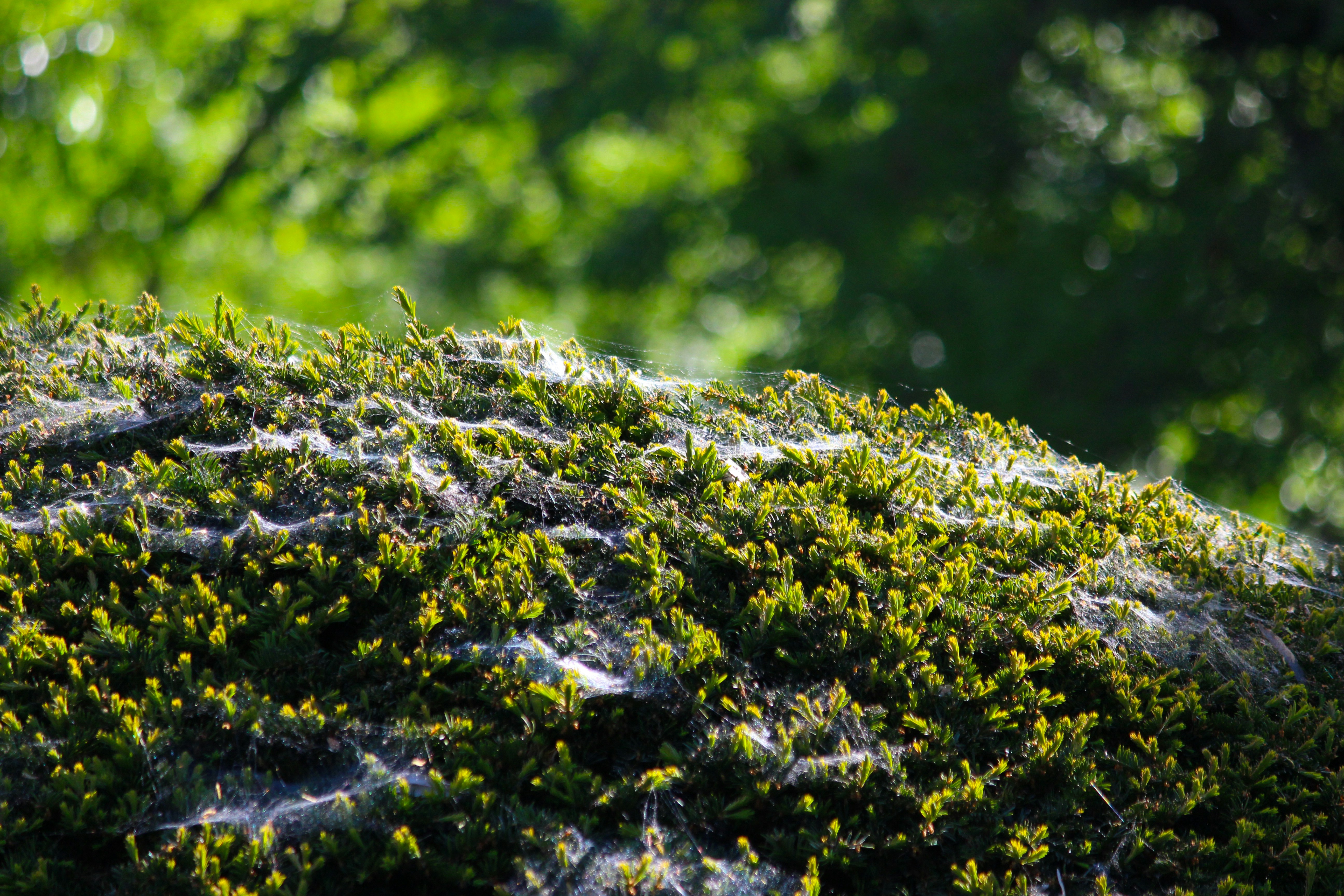 Photo by fotografialuivlad